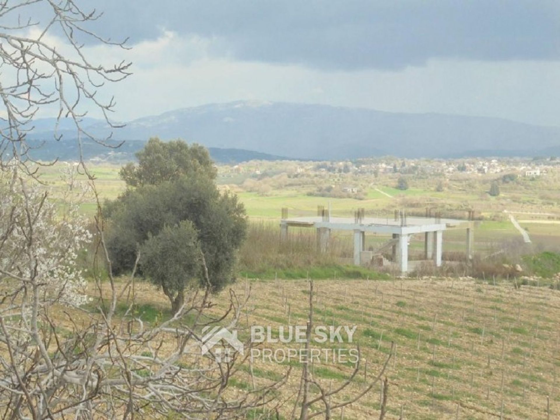 Land in Stroumpi, Paphos 10705003