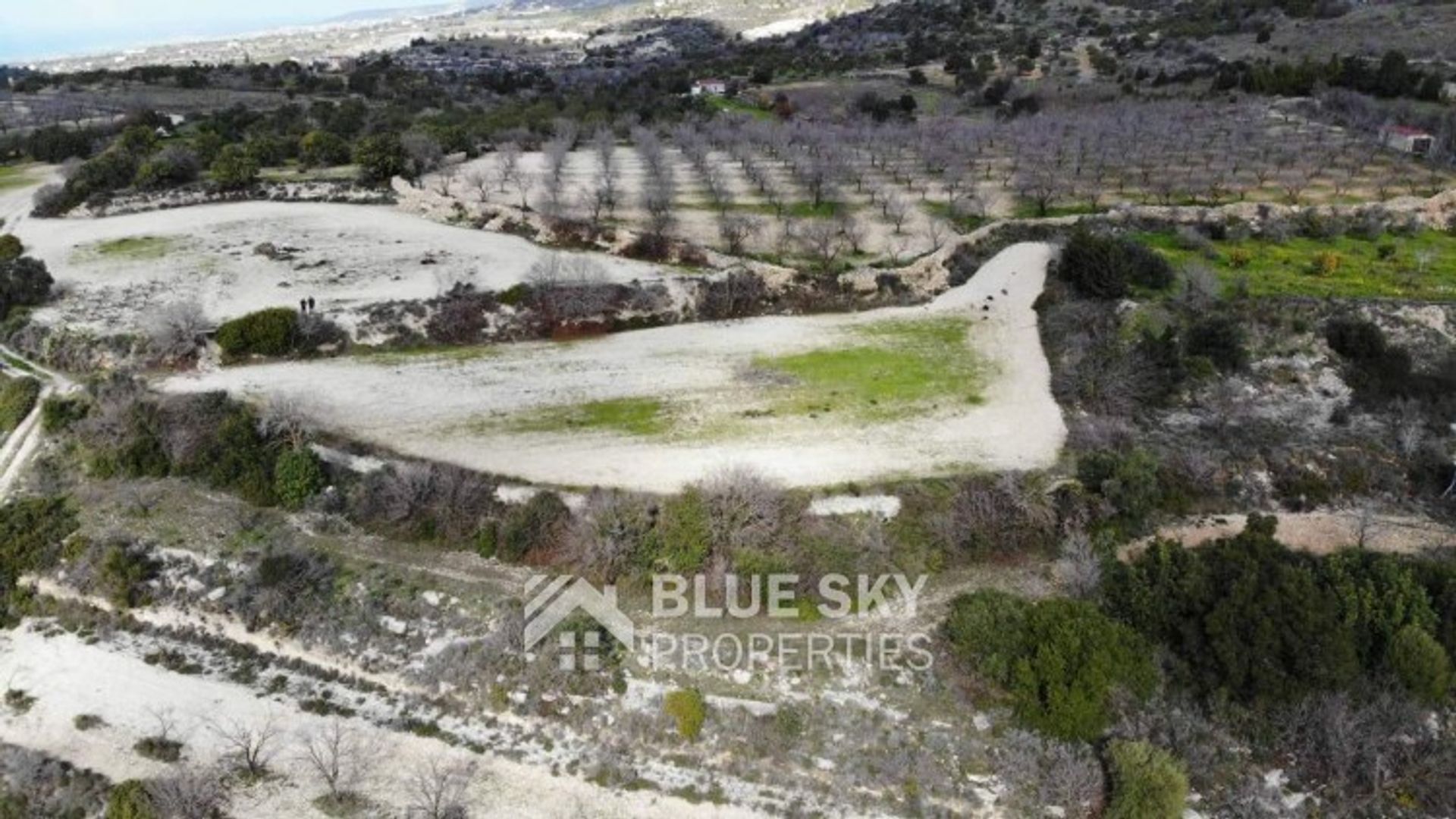 Land im Mesa Chorio, Pafos 10705119