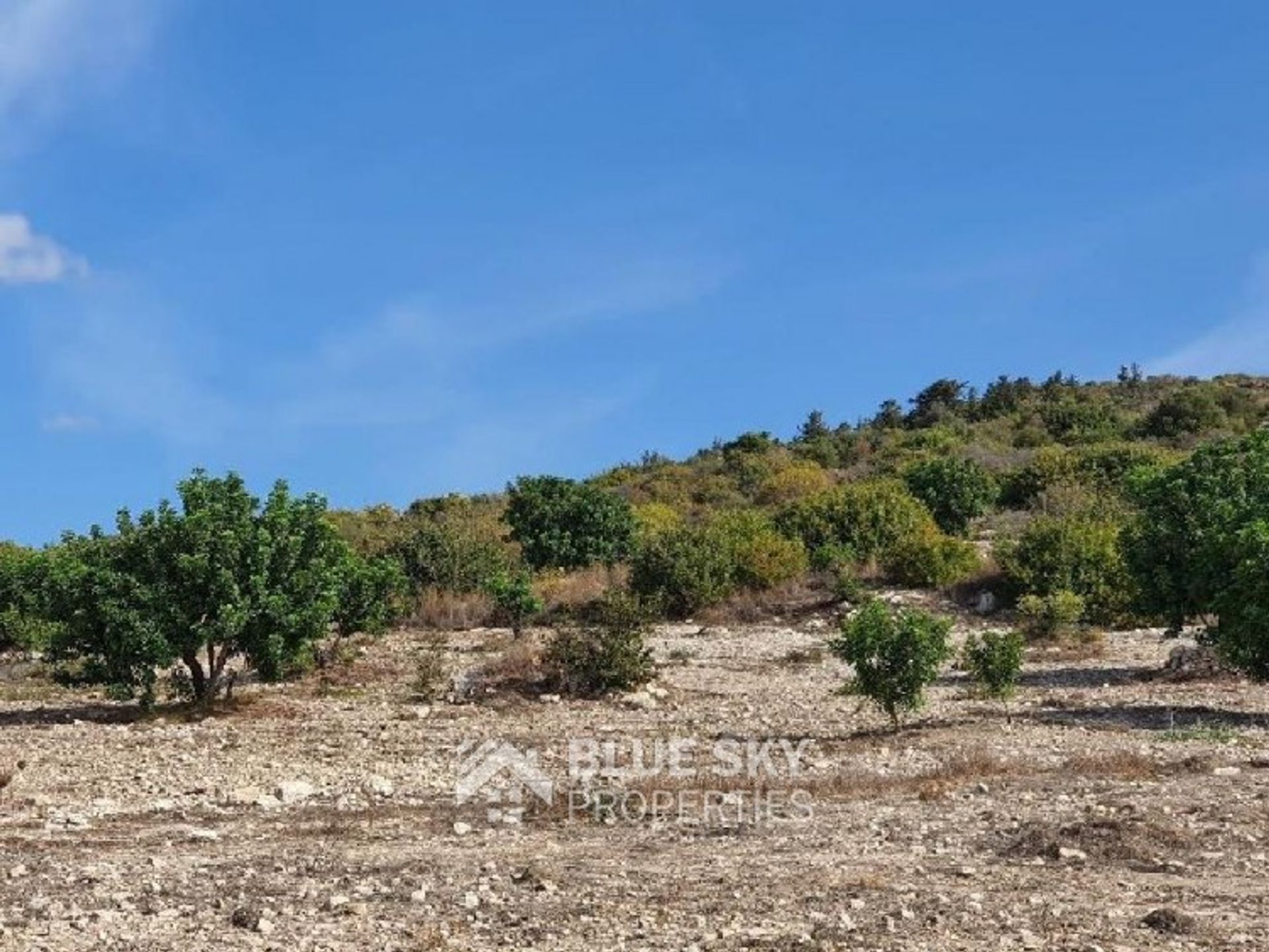 Land in Tala, Pafos 10705246