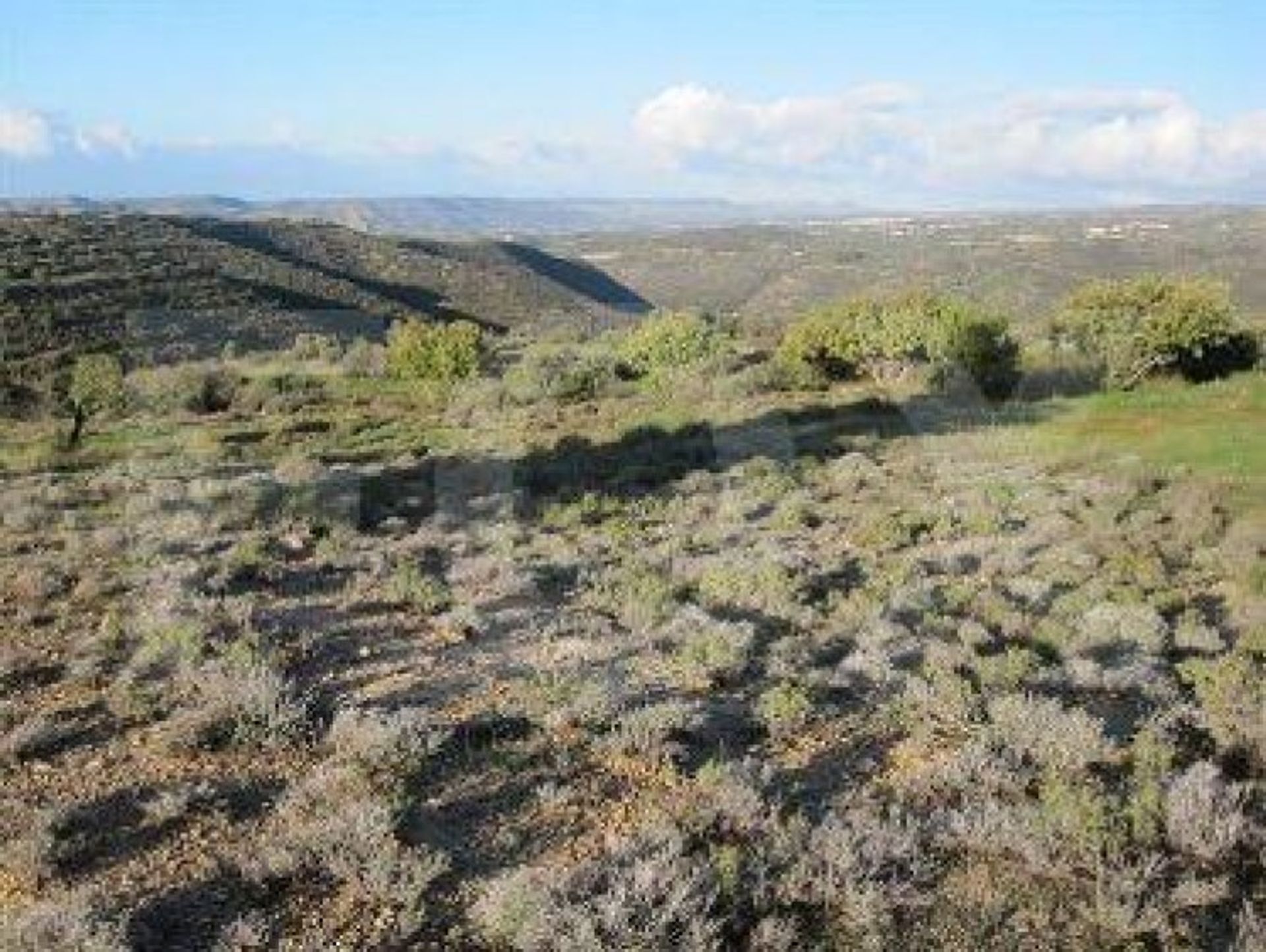 Land in Palodeia, Lemesos 10705771