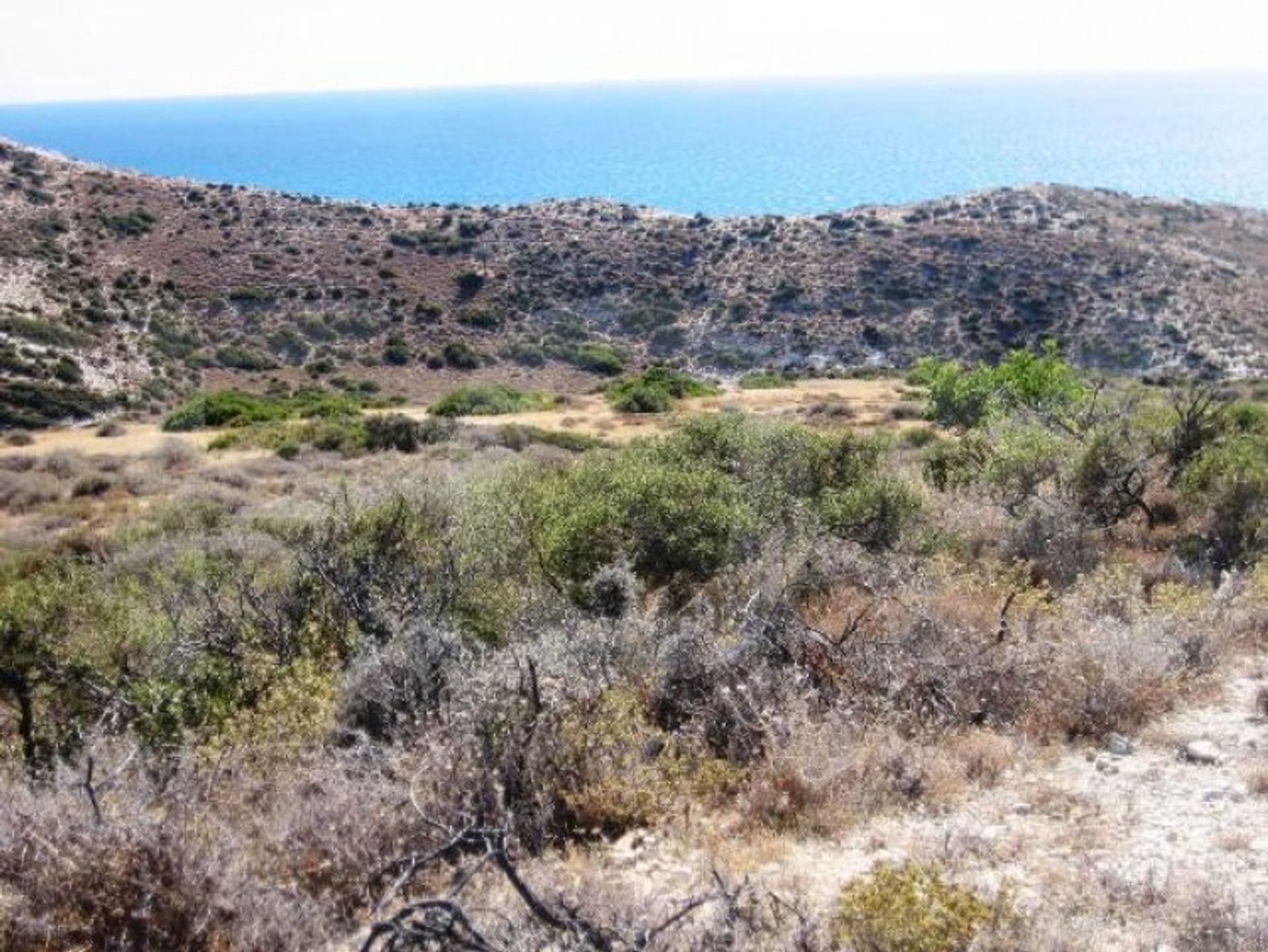 土地 在 Pissouri, Limassol 10706151