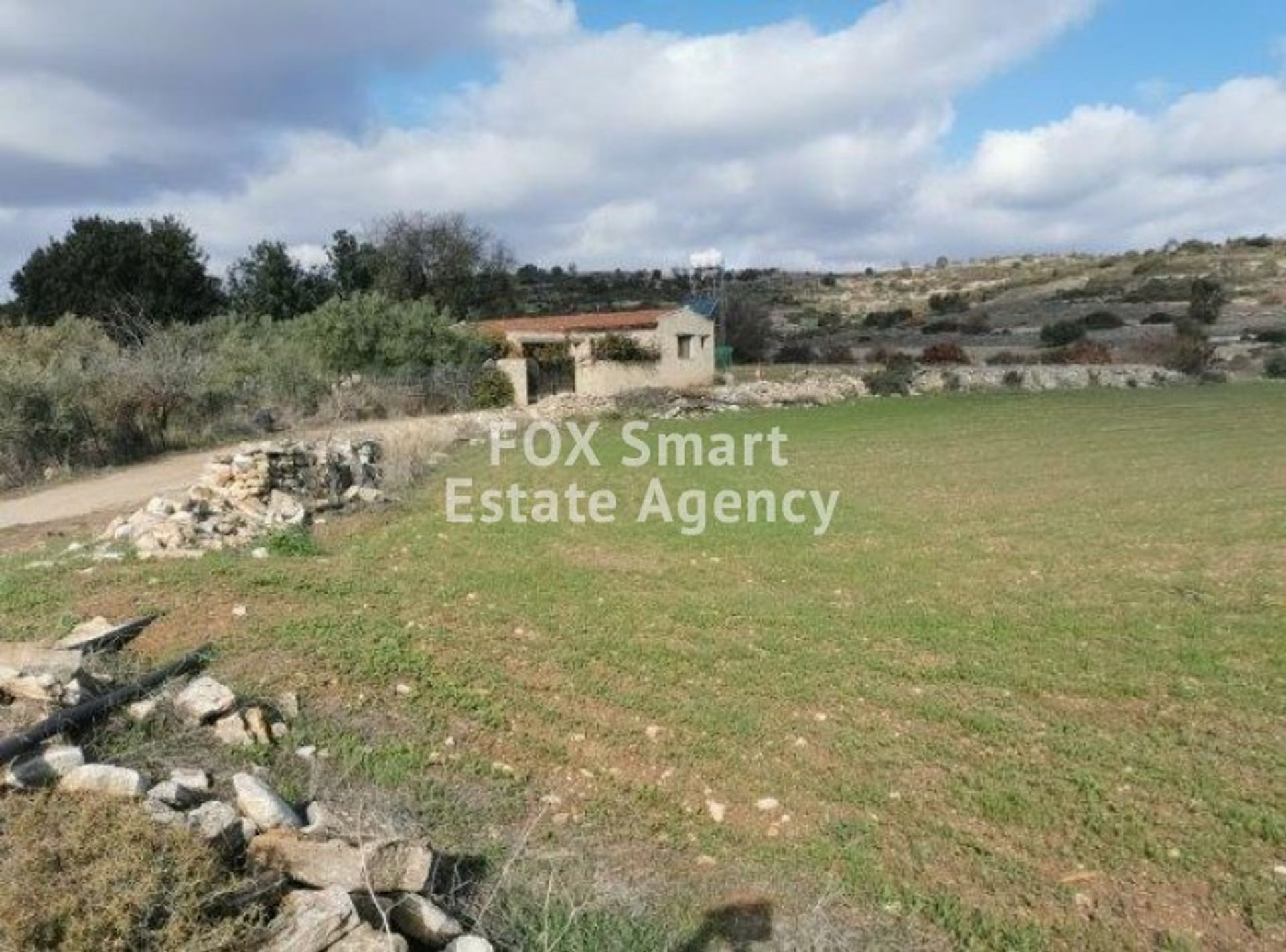 Land im Pampoula, Lemesos 10706267