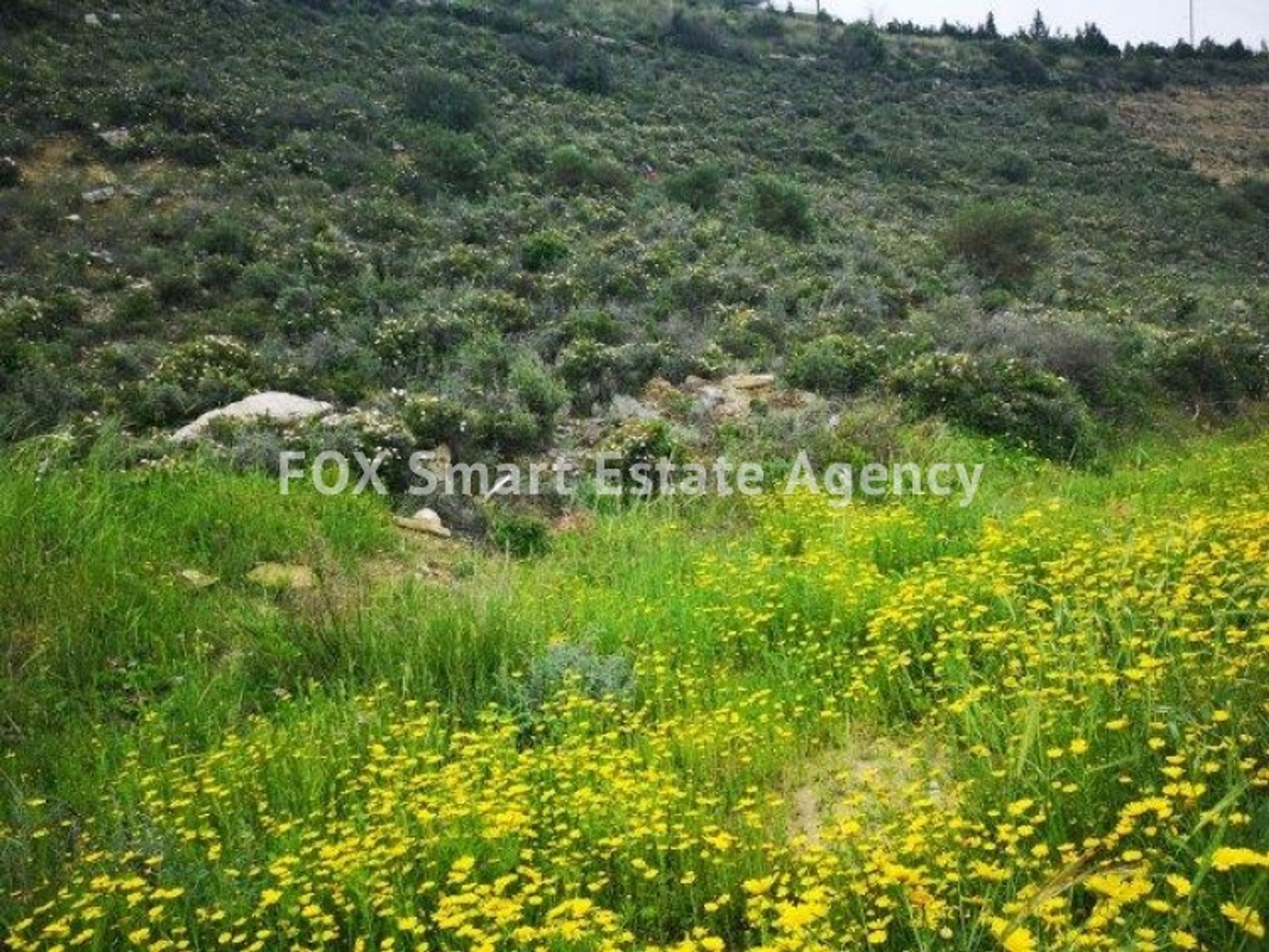 Land im Limassol, Lemesos 10706584