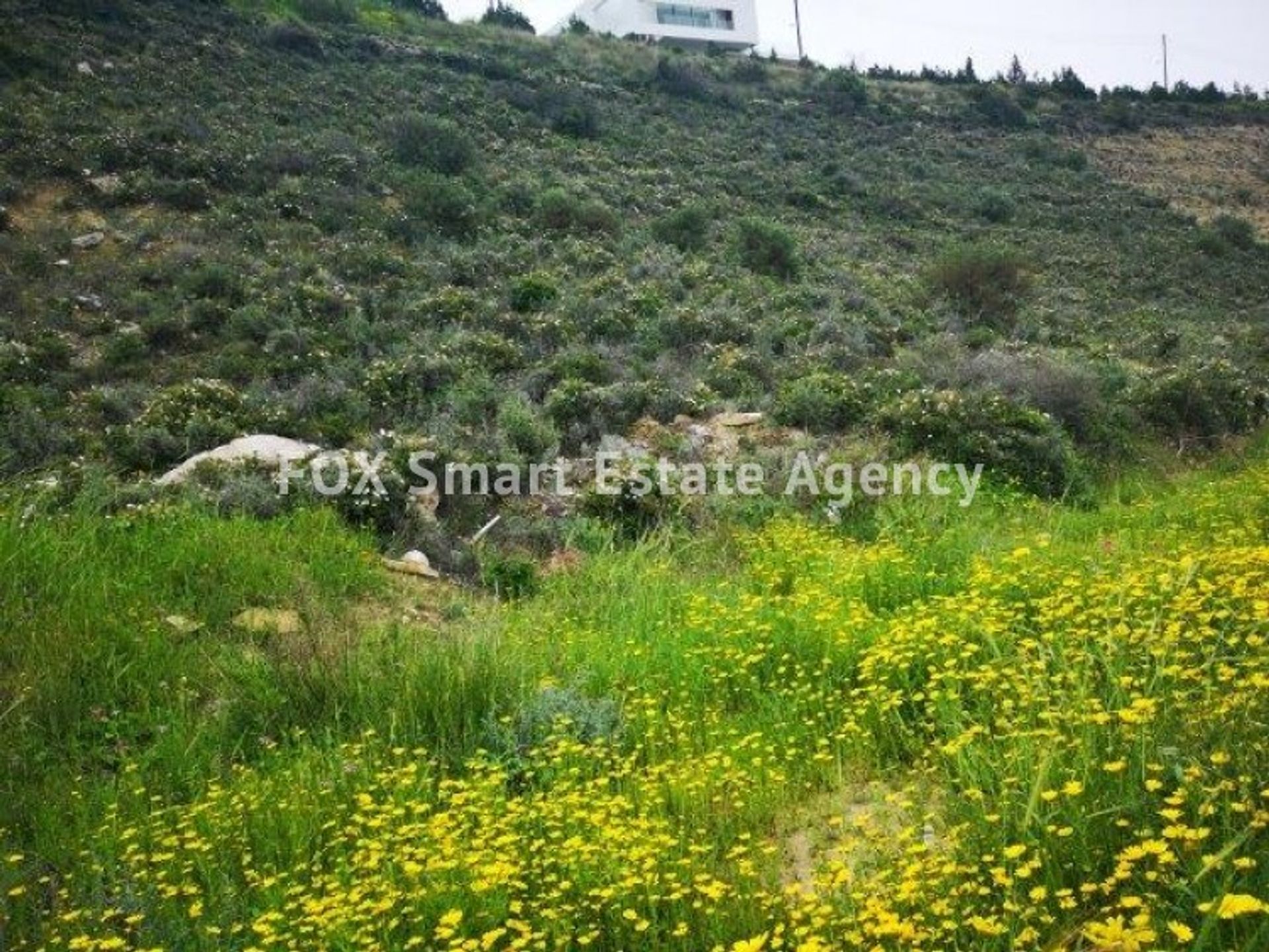 Land im Limassol, Lemesos 10706584