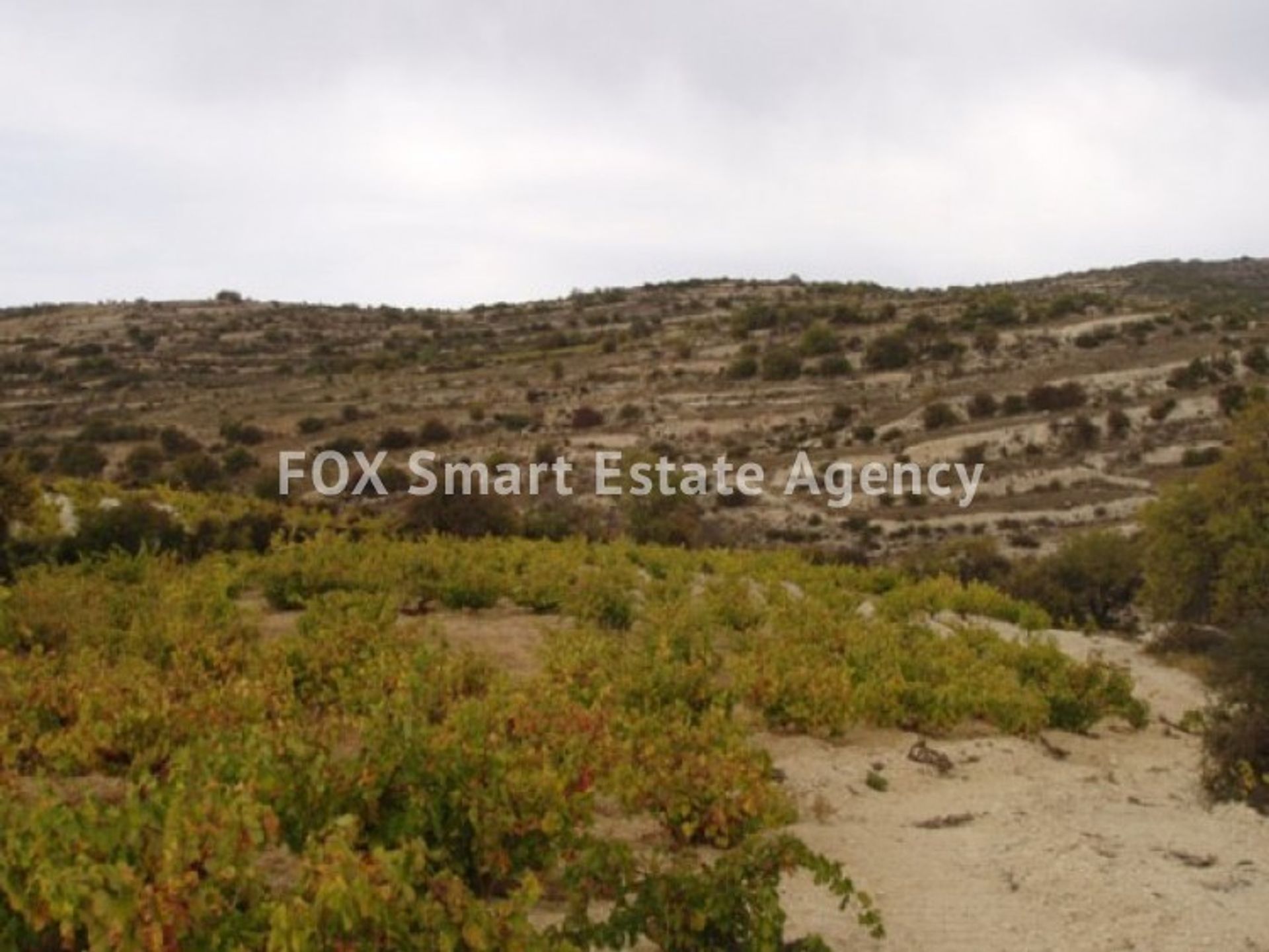 Land in Soularavia, Lemesos 10706588