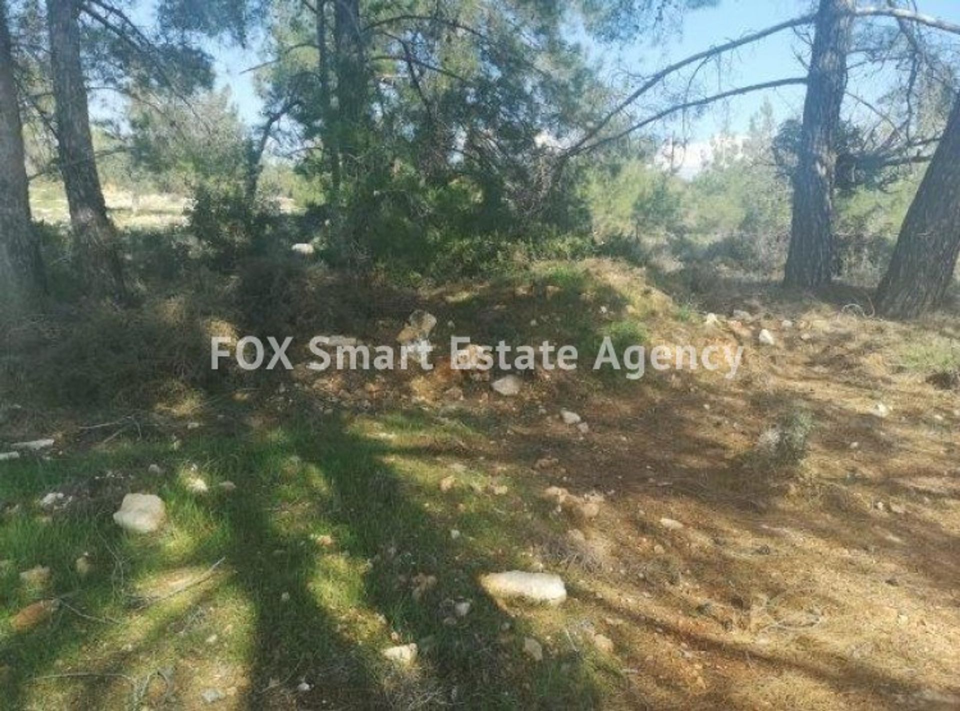 Land im Souni-Zanakia, Limassol 10706595