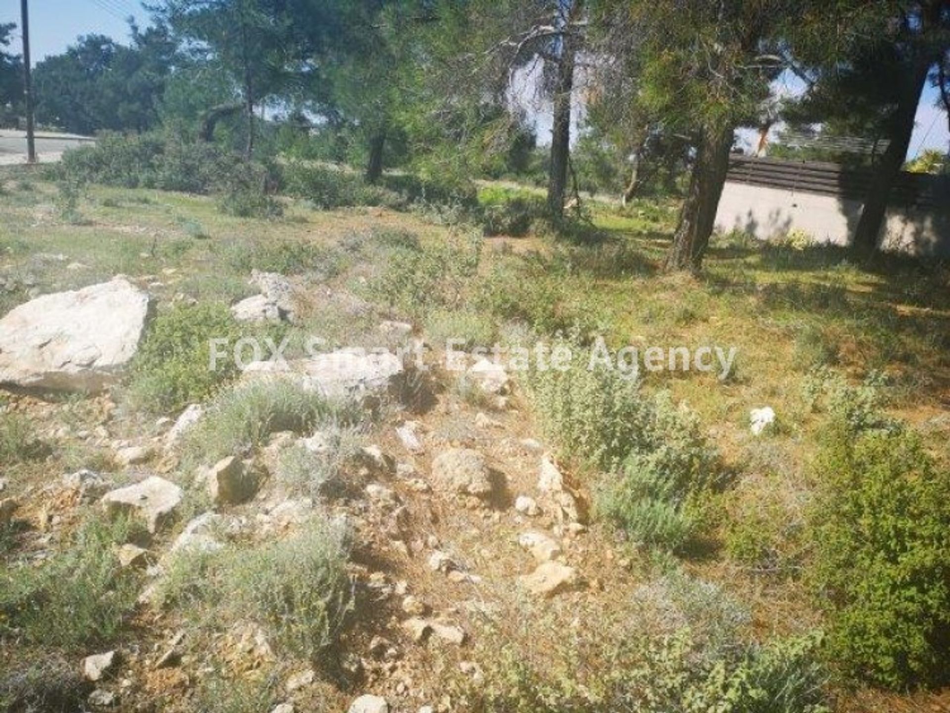 Land in Soularavia, Lemesos 10706601