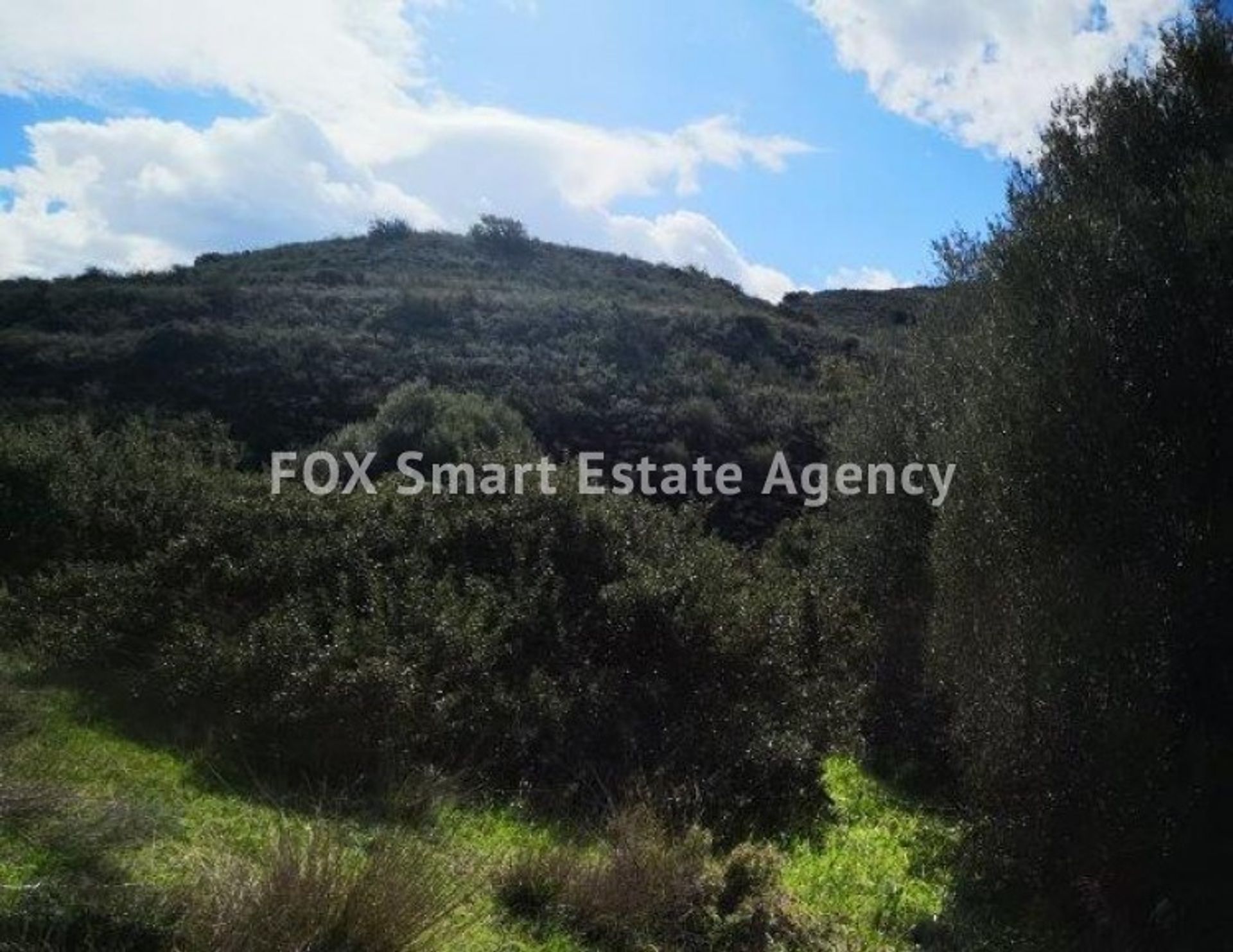 Land in Palodeia, Lemesos 10706652