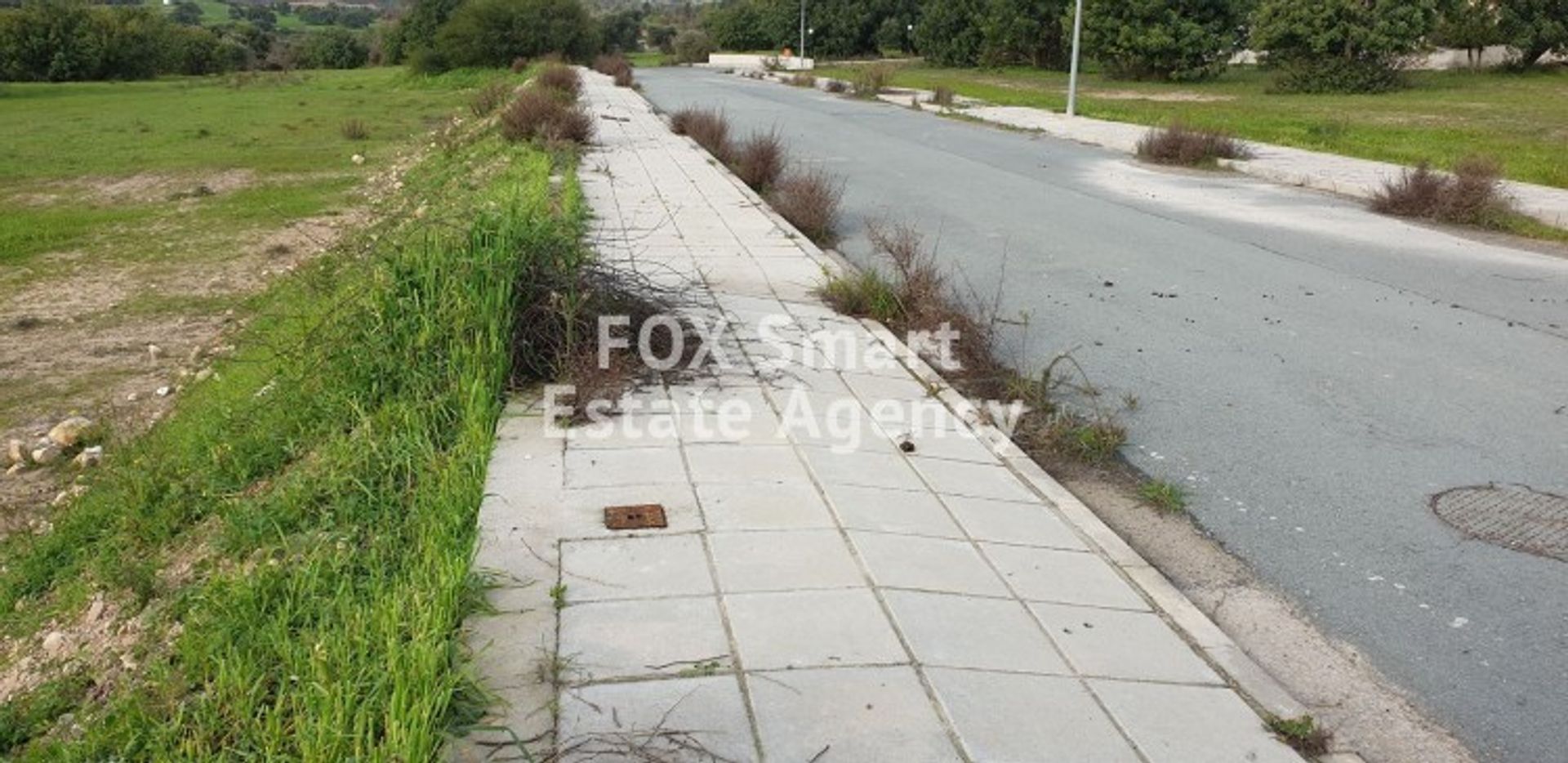 Terre dans Palodée, Lémésos 10706982