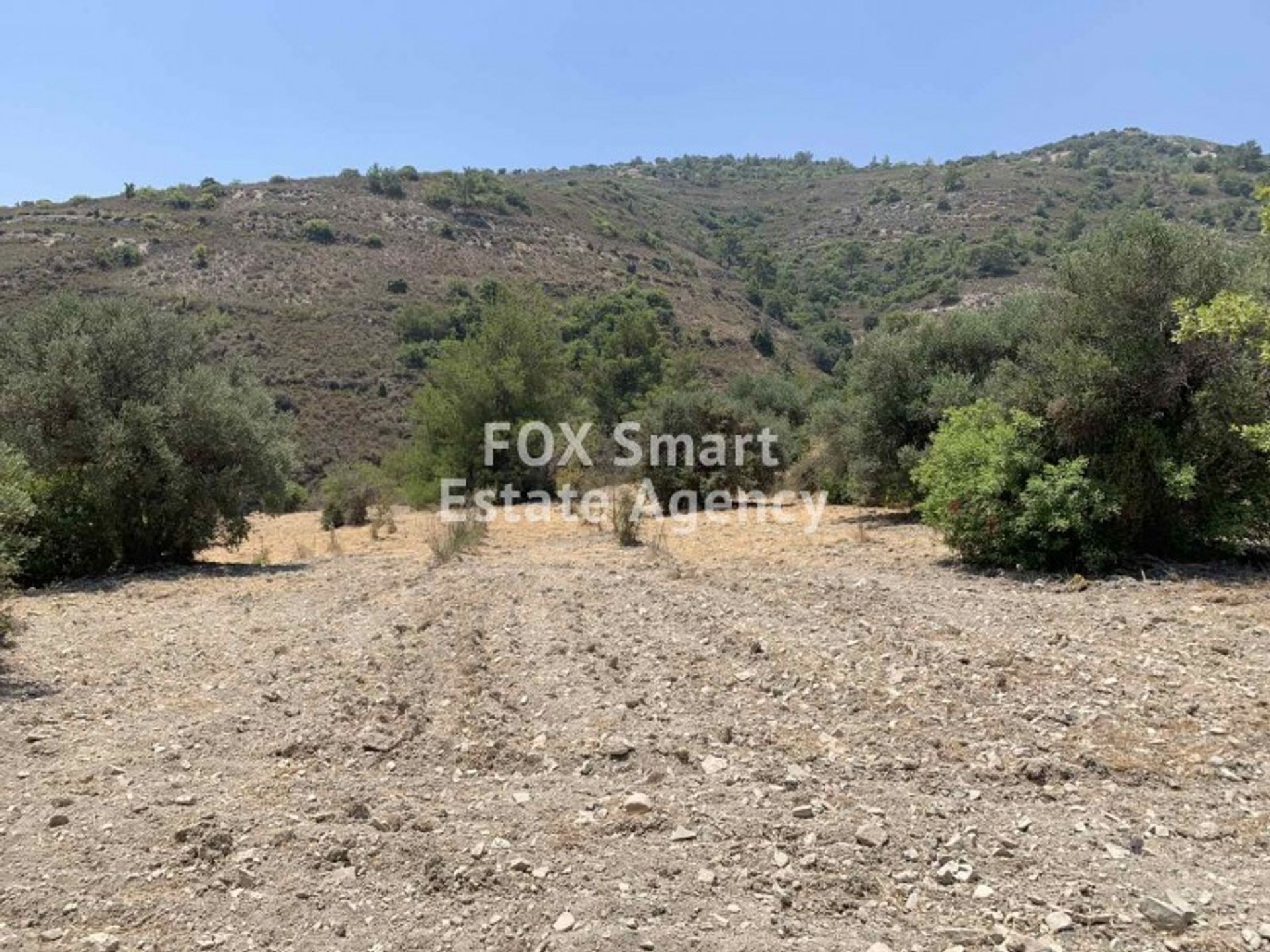 Terre dans Palodée, Lémésos 10707029