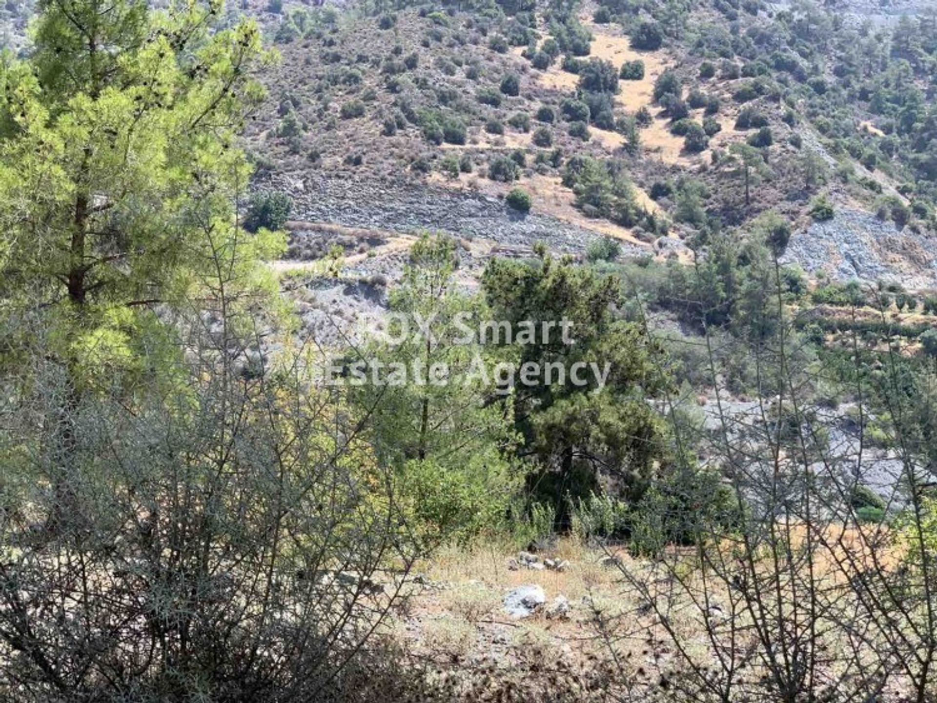 Terre dans Palodée, Lémésos 10707033