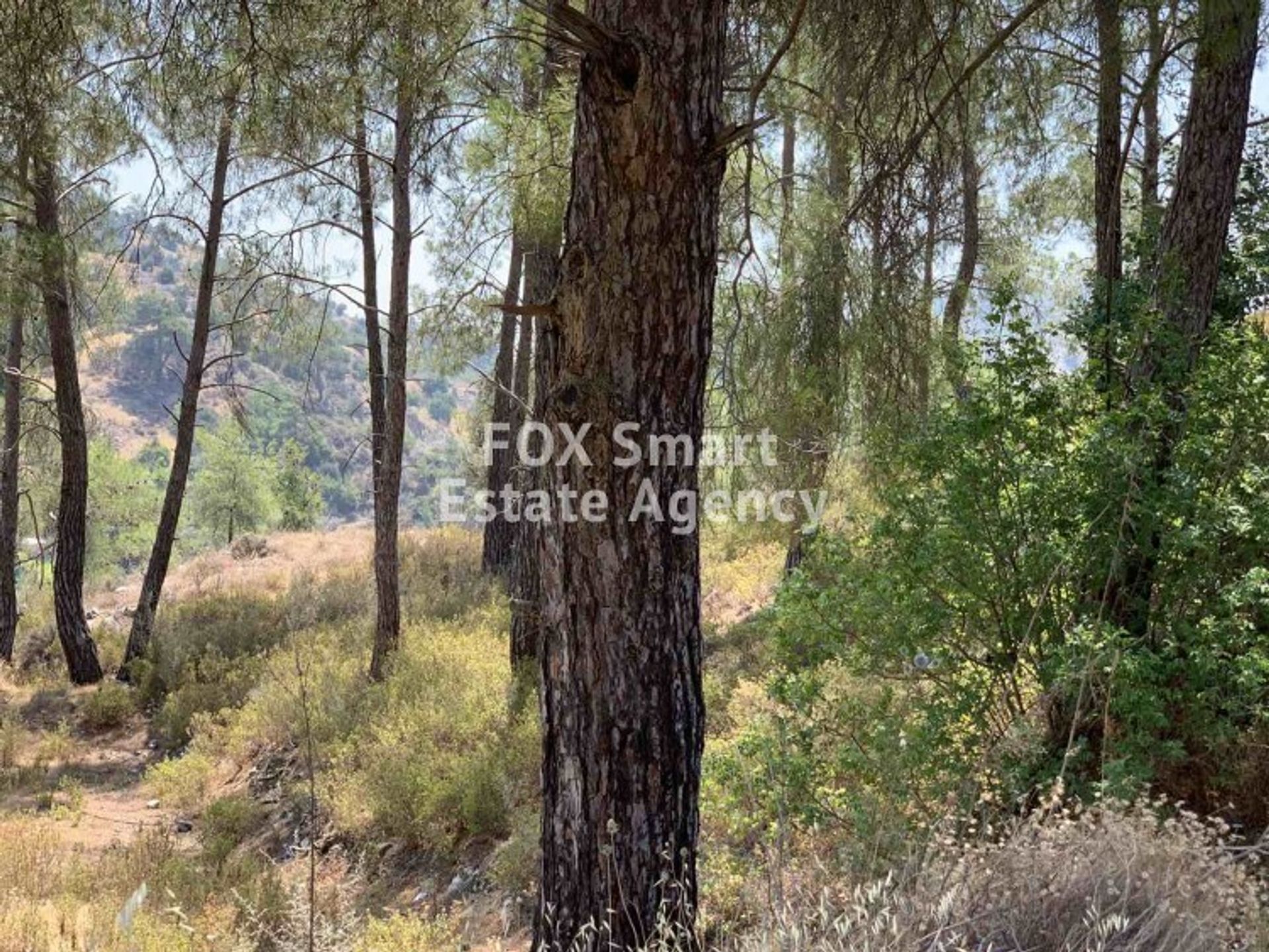 Land in Palodeia, Lemesos 10707033