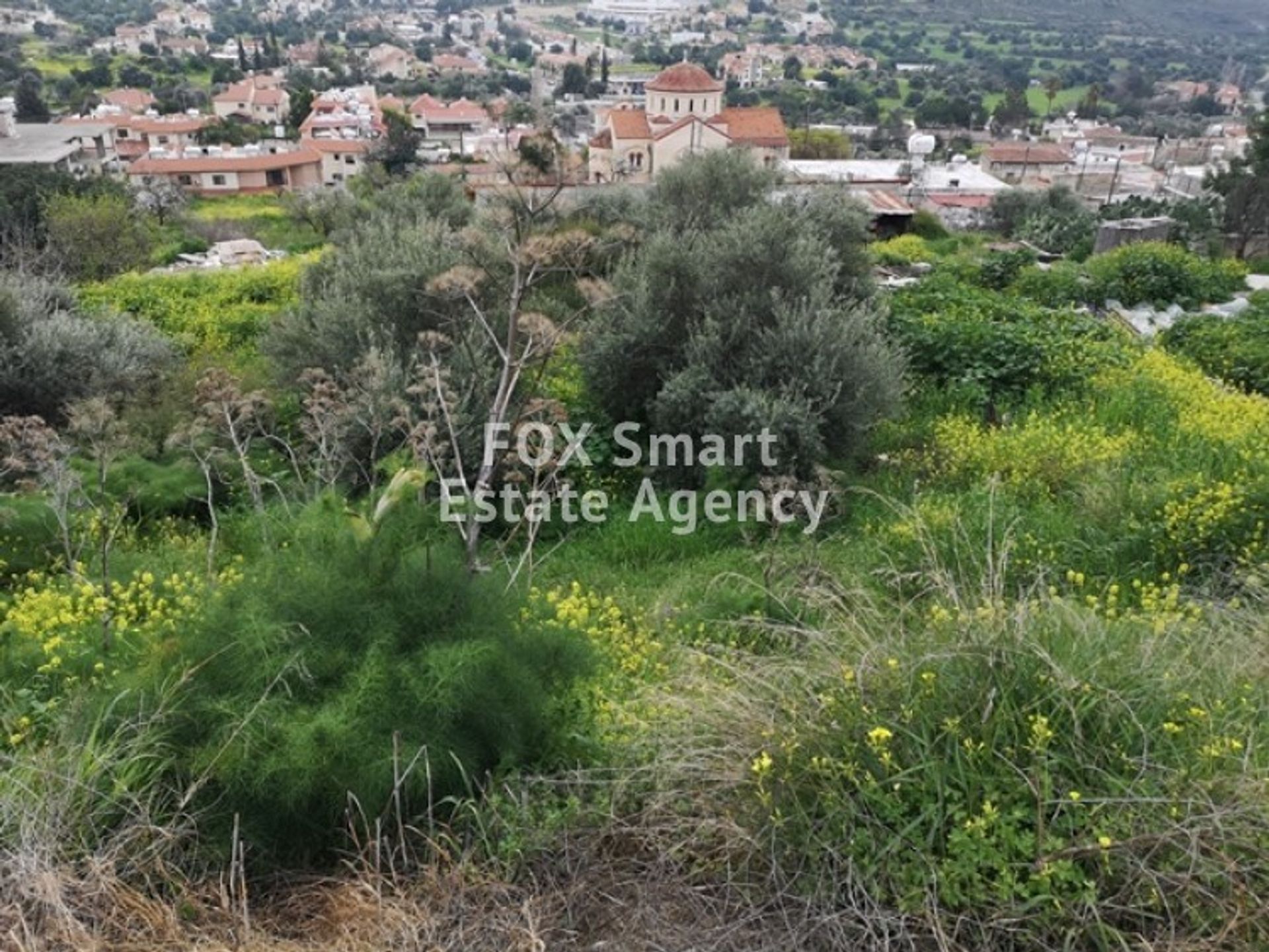 Tierra en palodeia, lemesos 10707048