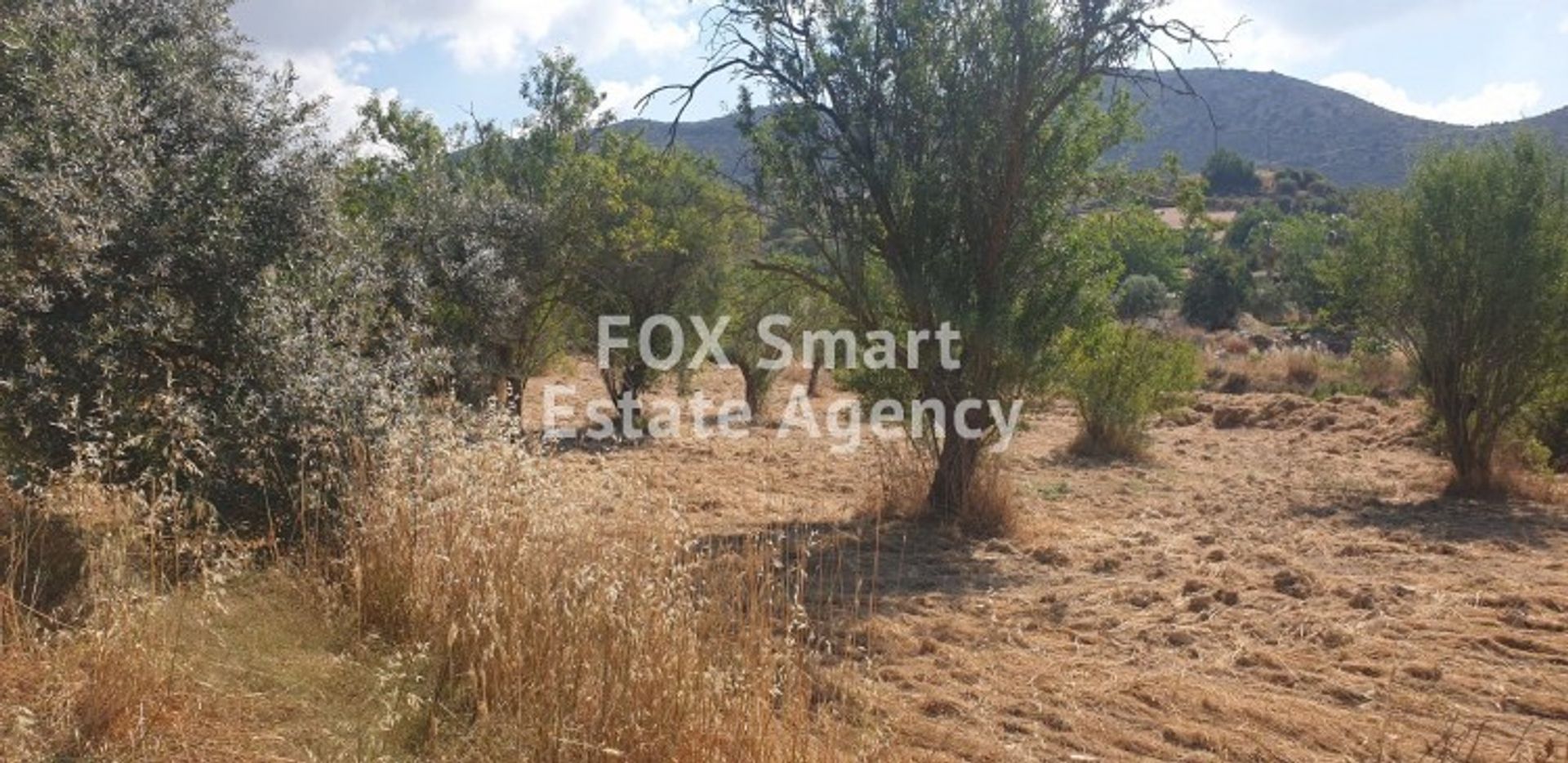 Land in Palodeia, Lemesos 10707116