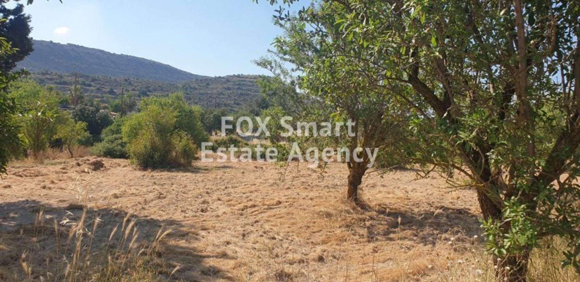 Land in Palodeia, Lemesos 10707116