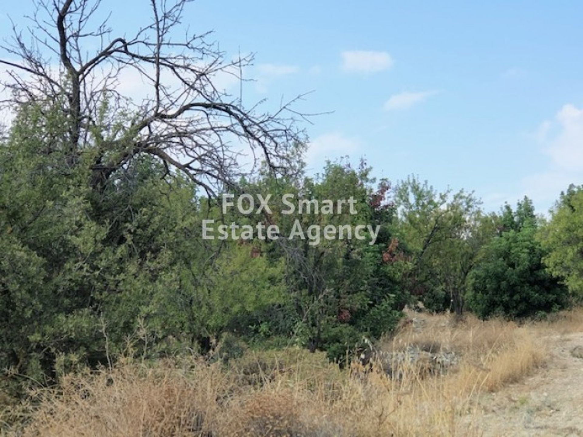 Land in Paramytha, Limassol 10707178