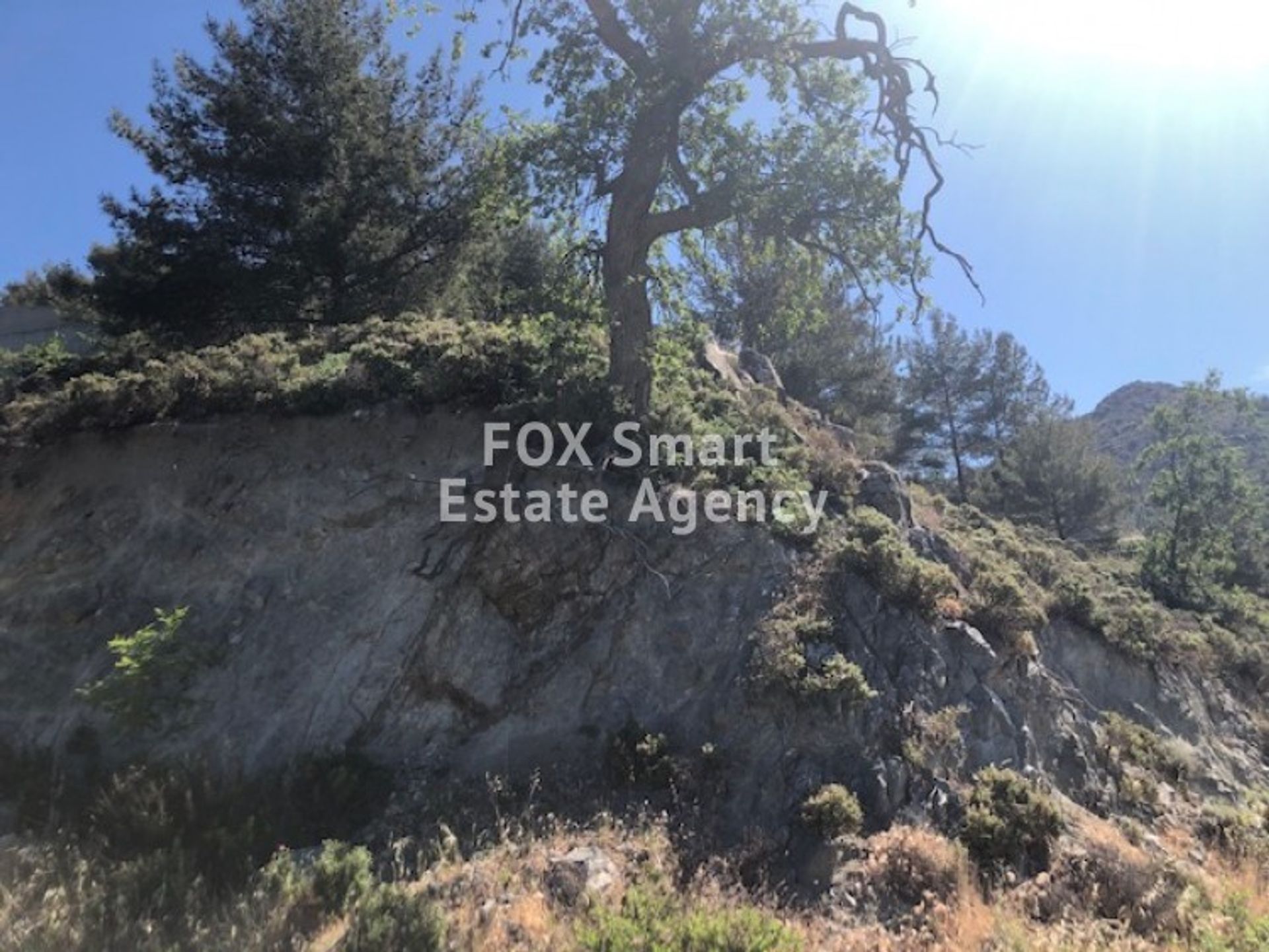 Land in Agros, Limassol 10707653