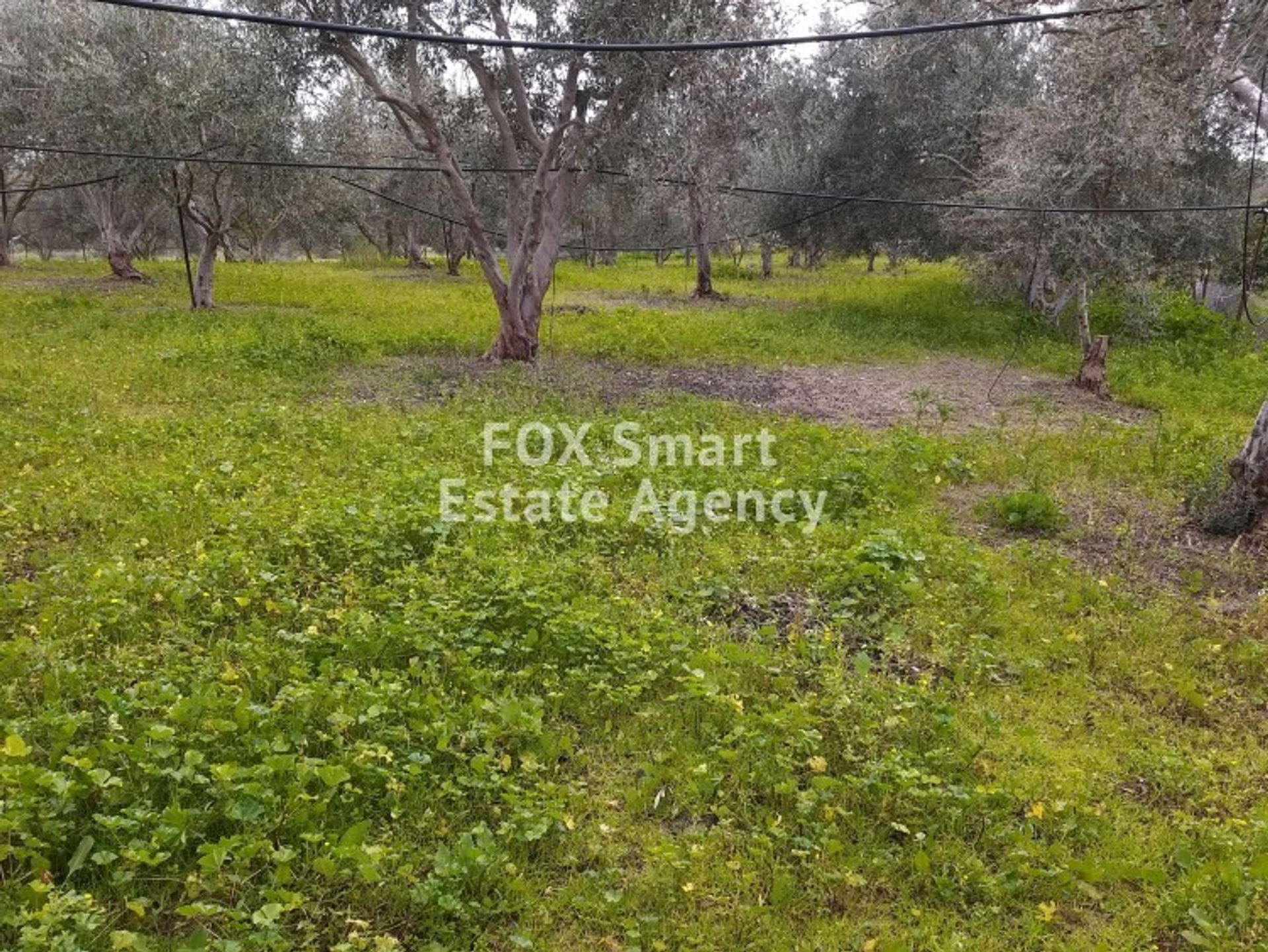 Land in Moni, Limassol 10707672