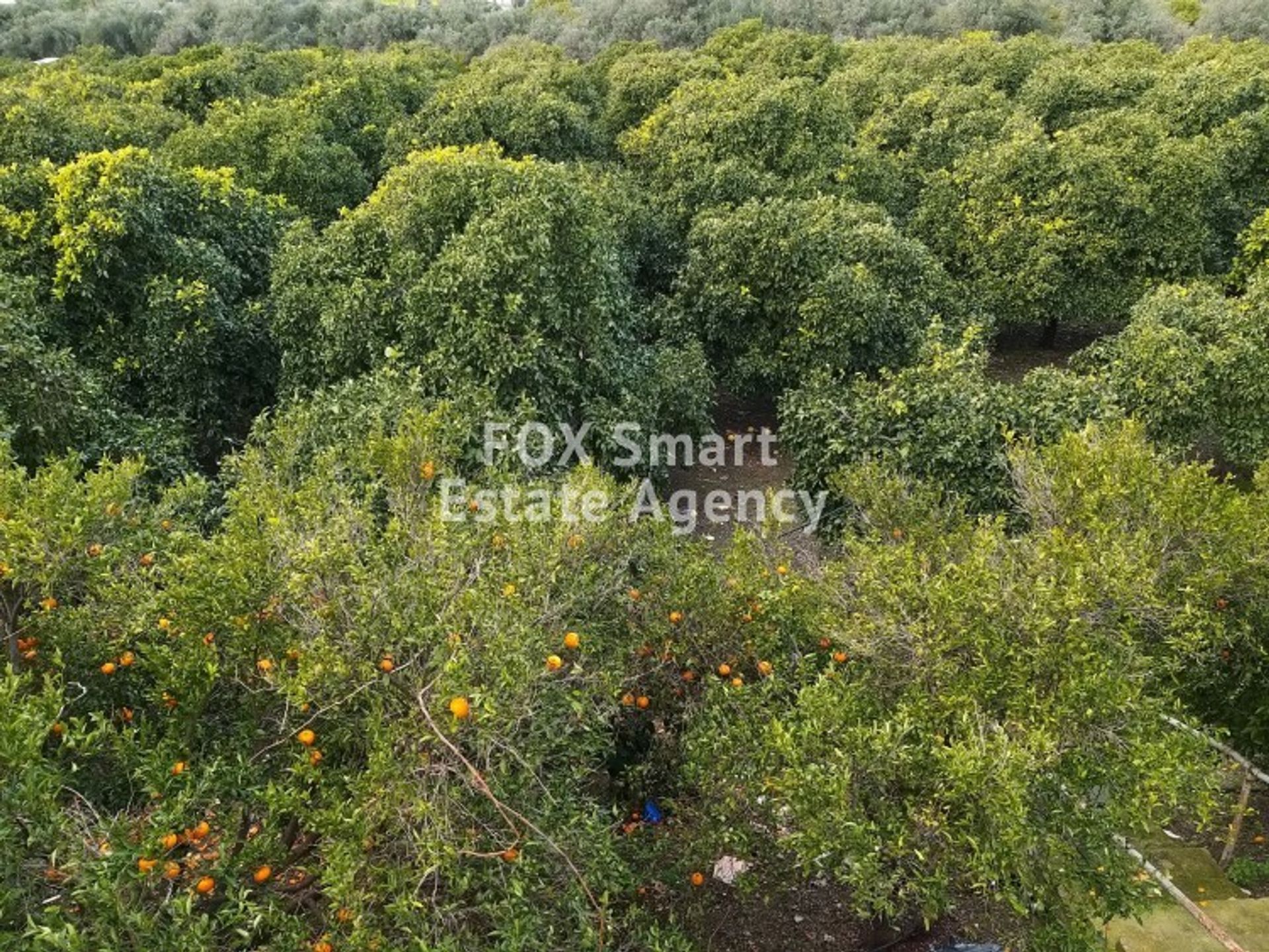 Land in Pyrgos, Larnaka 10707673