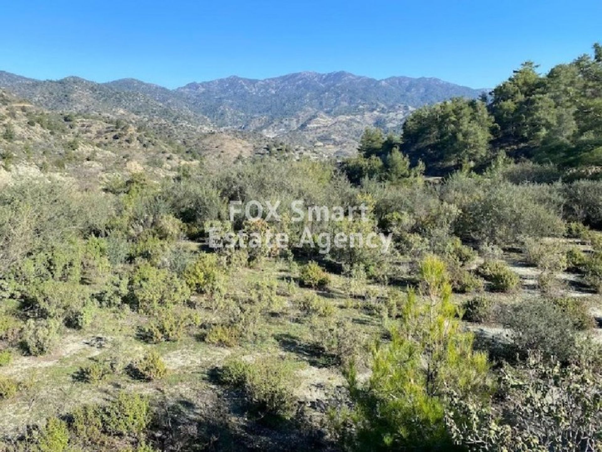 Land in Palodeia, Lemesos 10708056