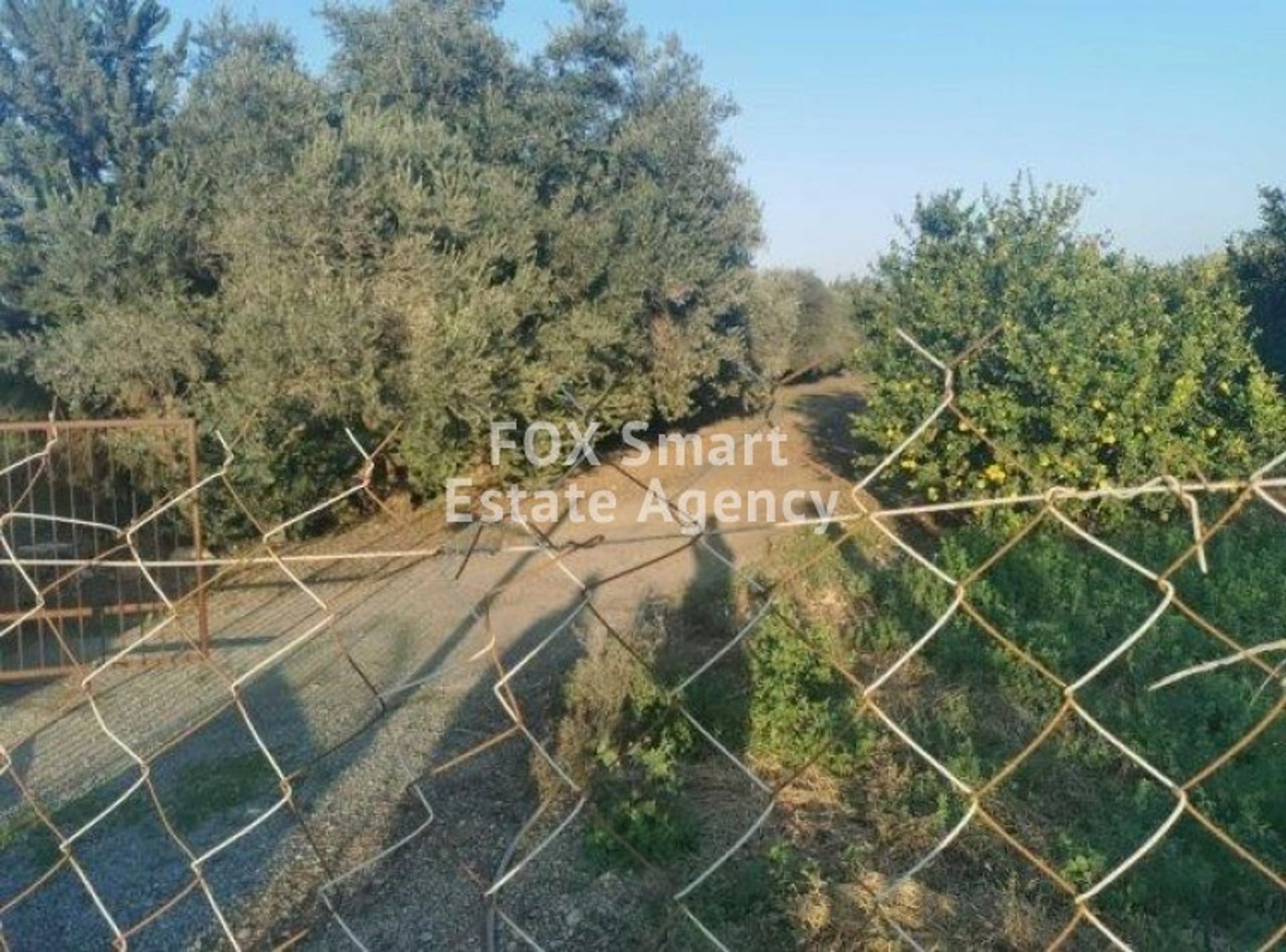 Land in Trachoni, Limassol 10708211