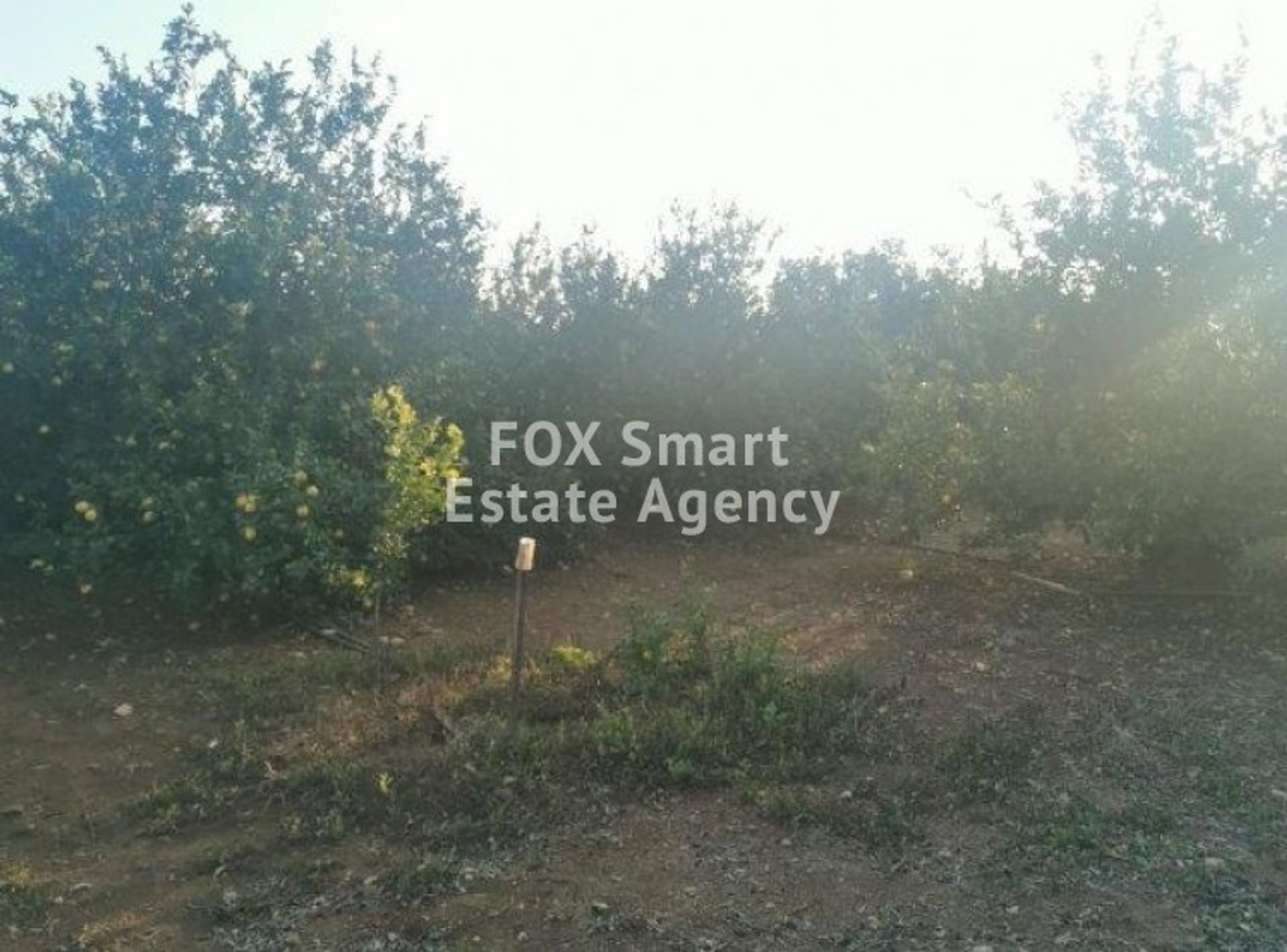 Land in Trachoni, Limassol 10708211