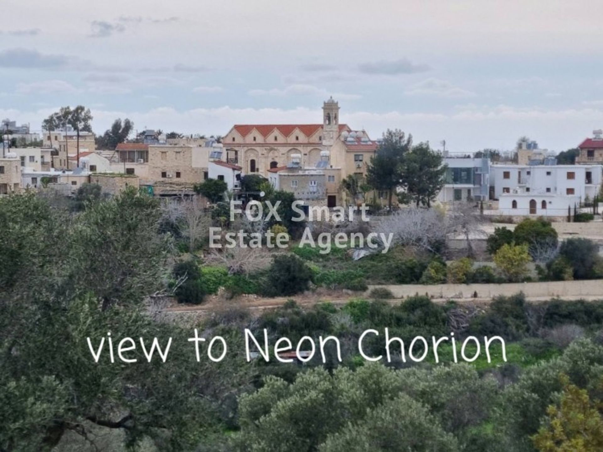 Terre dans Neo Chorio, Paphos 10711382