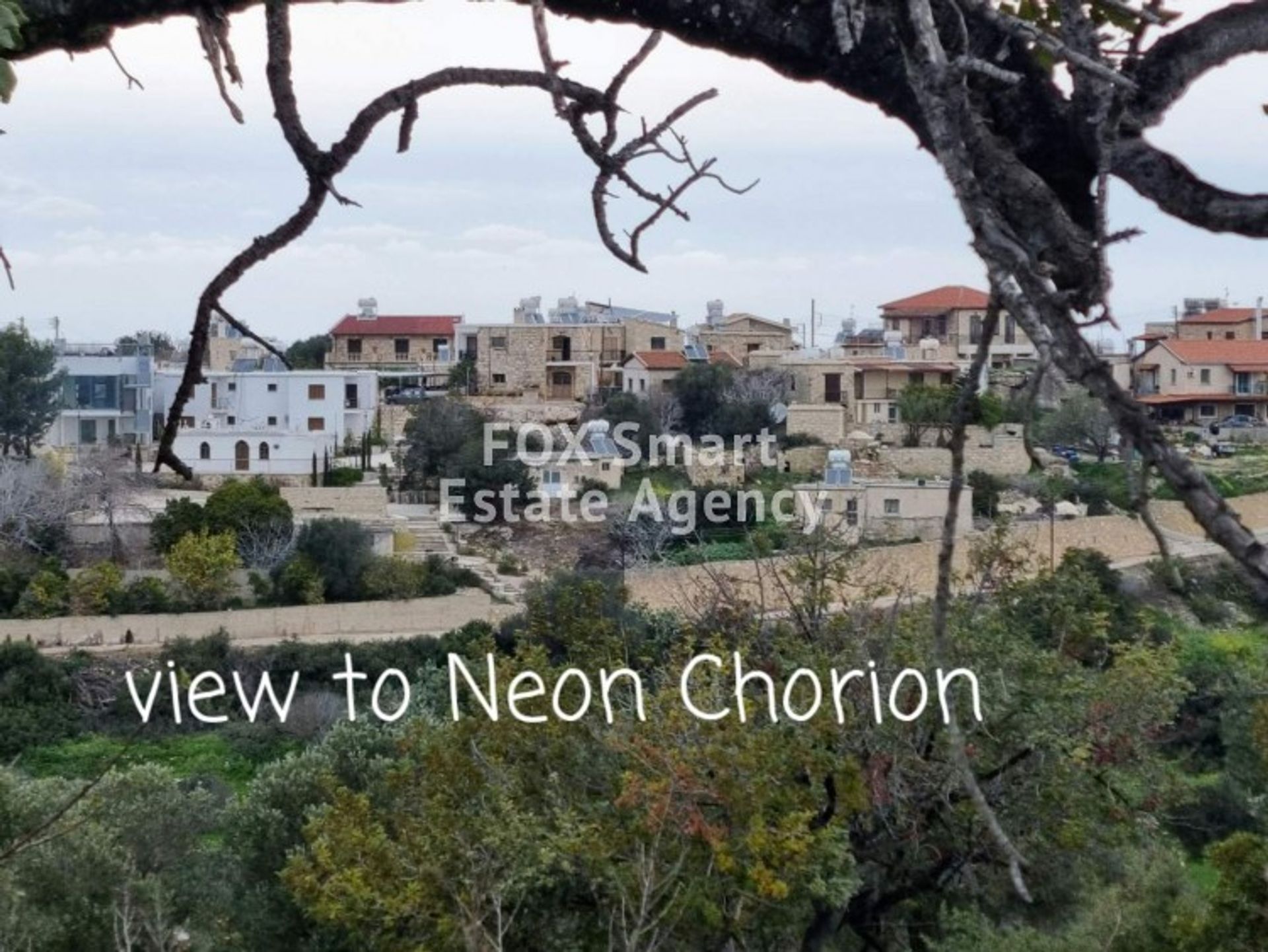 土地 在 Neo Chorio, Paphos 10711382