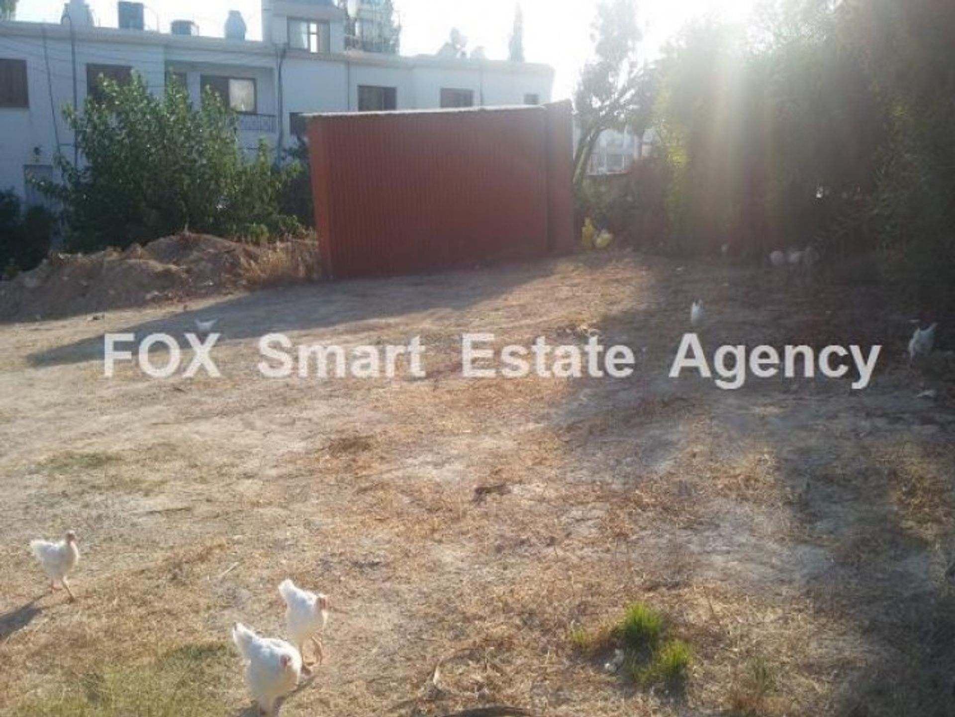 Land in Emba, Paphos 10711599