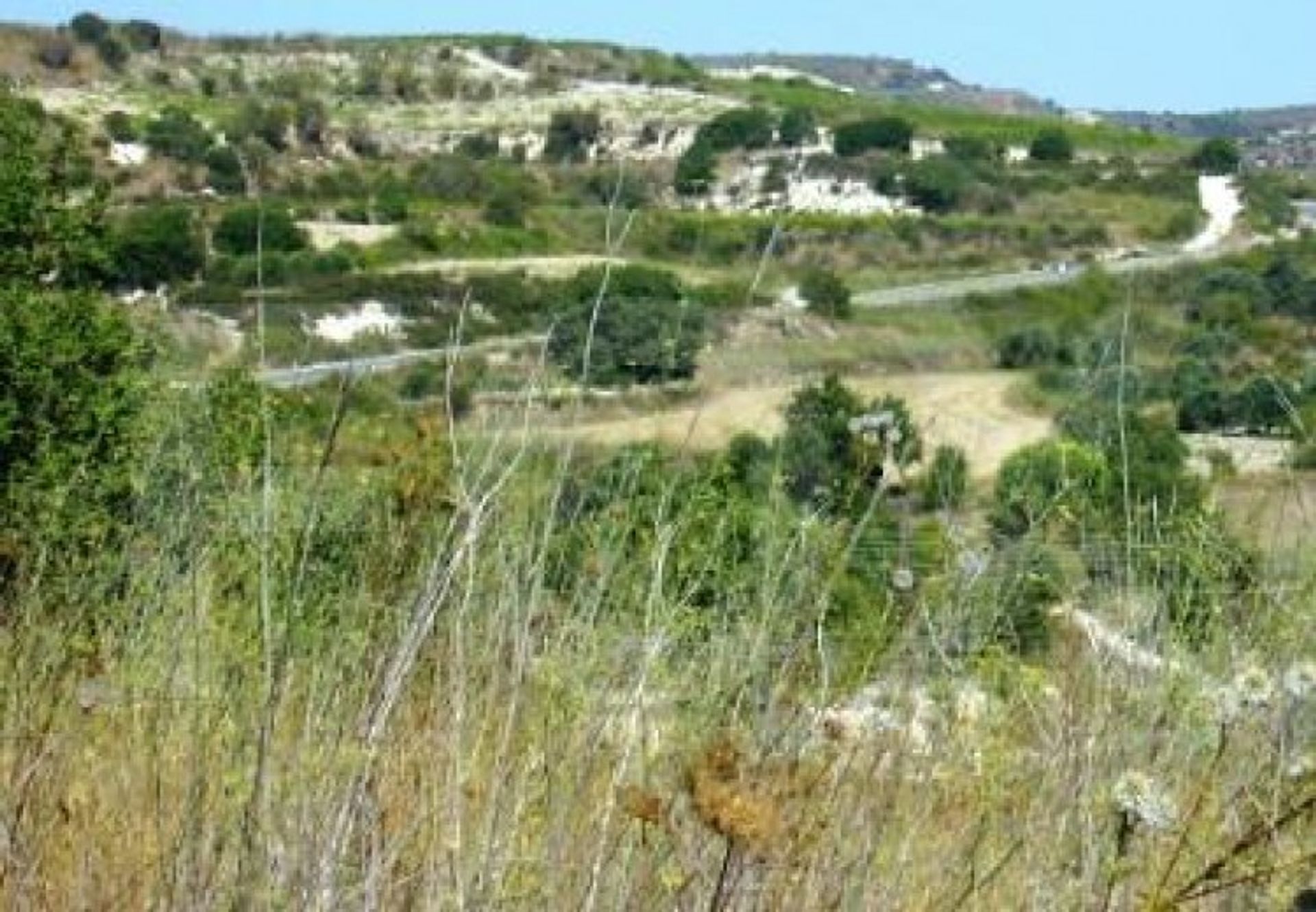 Tanah di Tala, Pafos 10711626