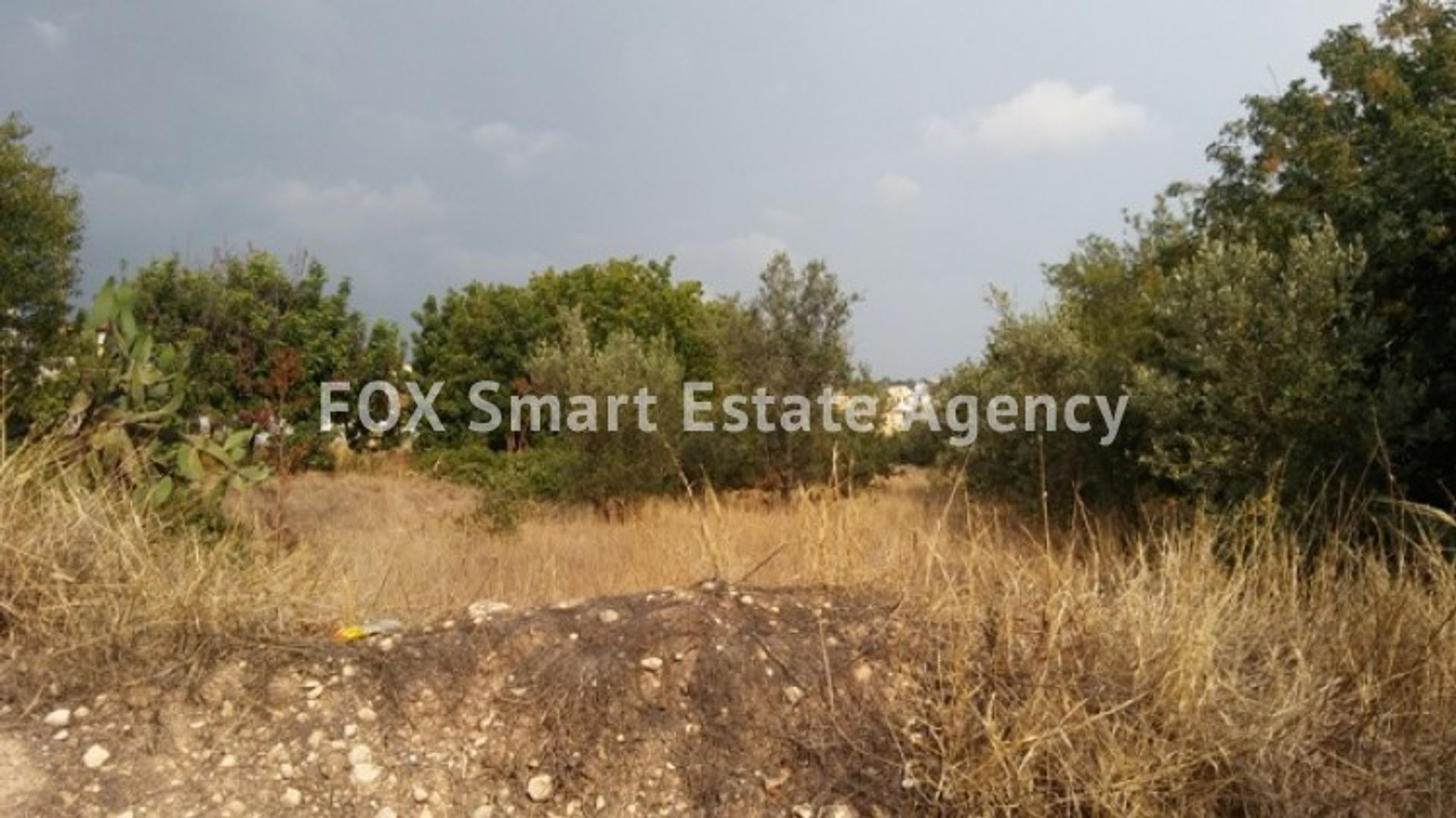 Land in Tala, Pafos 10711650