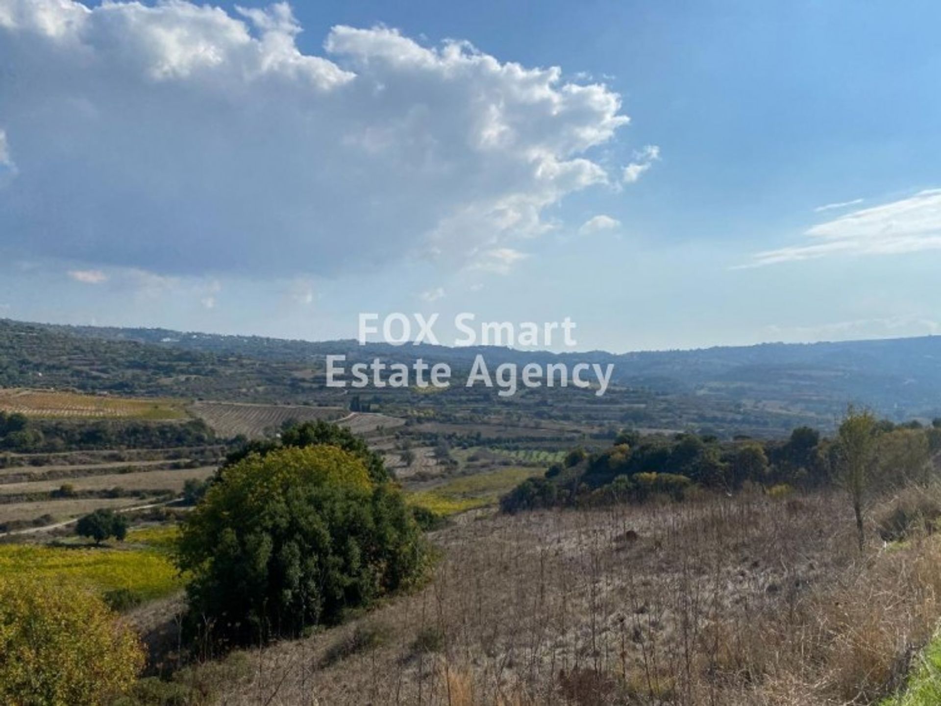 Land in Mesa Chorio, Pafos 10712402