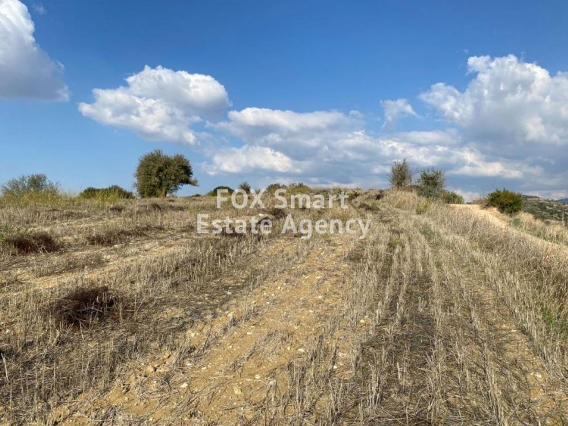 Land in Mesa Chorio, Pafos 10712402