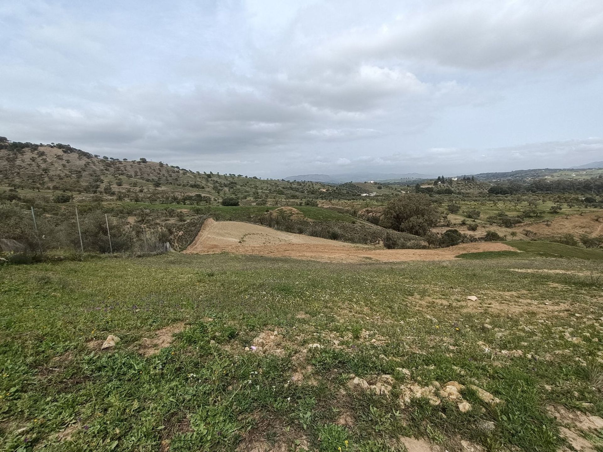 Land i Mynt, Andalusia 10712708