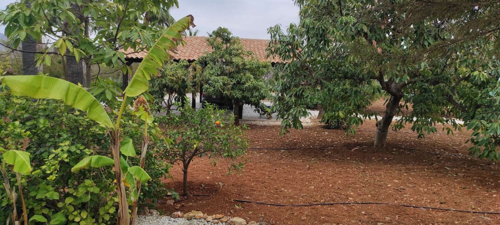 rumah dalam Alhaurín de la Torre, Andalucía 10712709