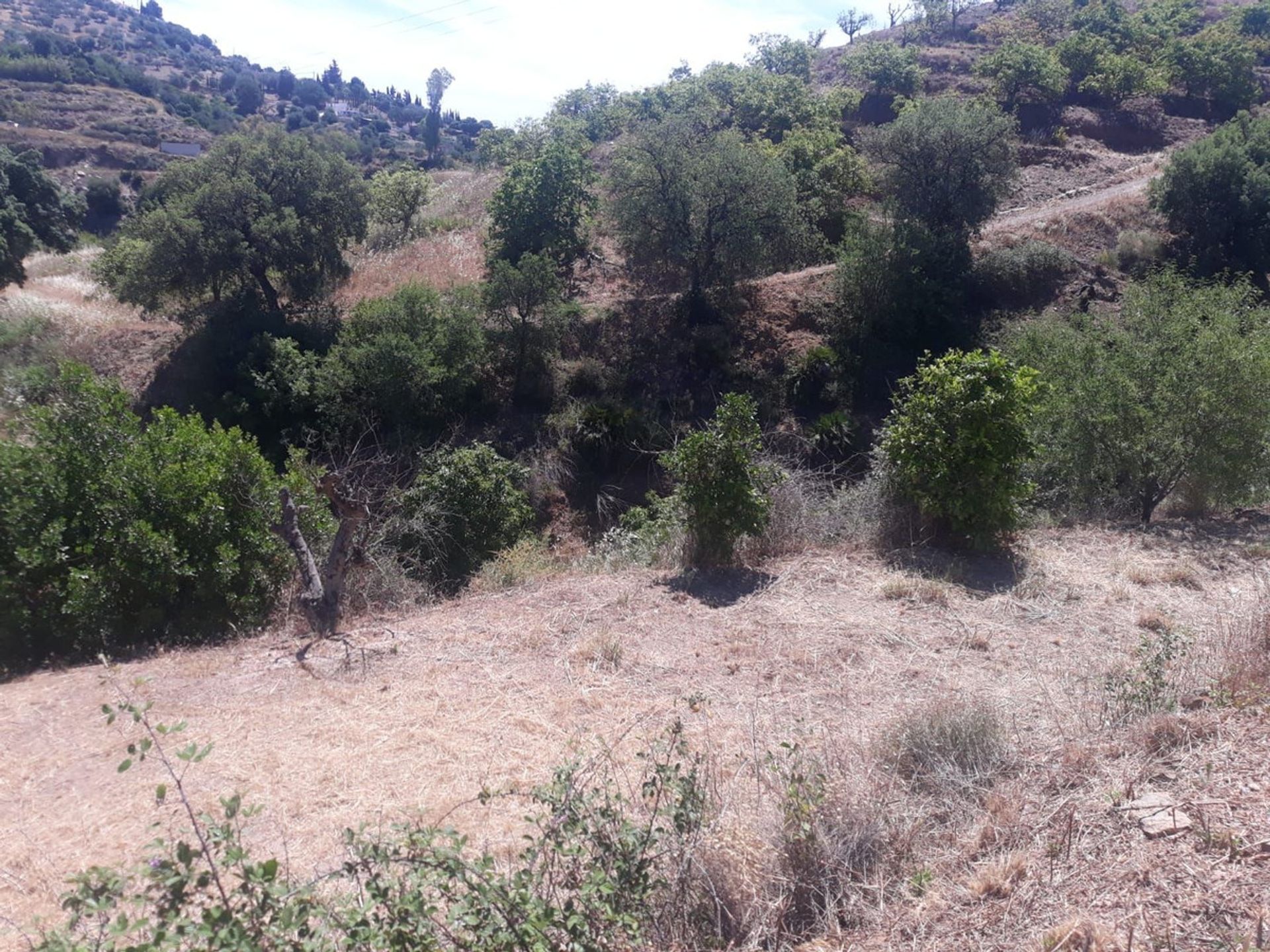 Land im Las Lagunas de Mijas, Andalucía 10712727