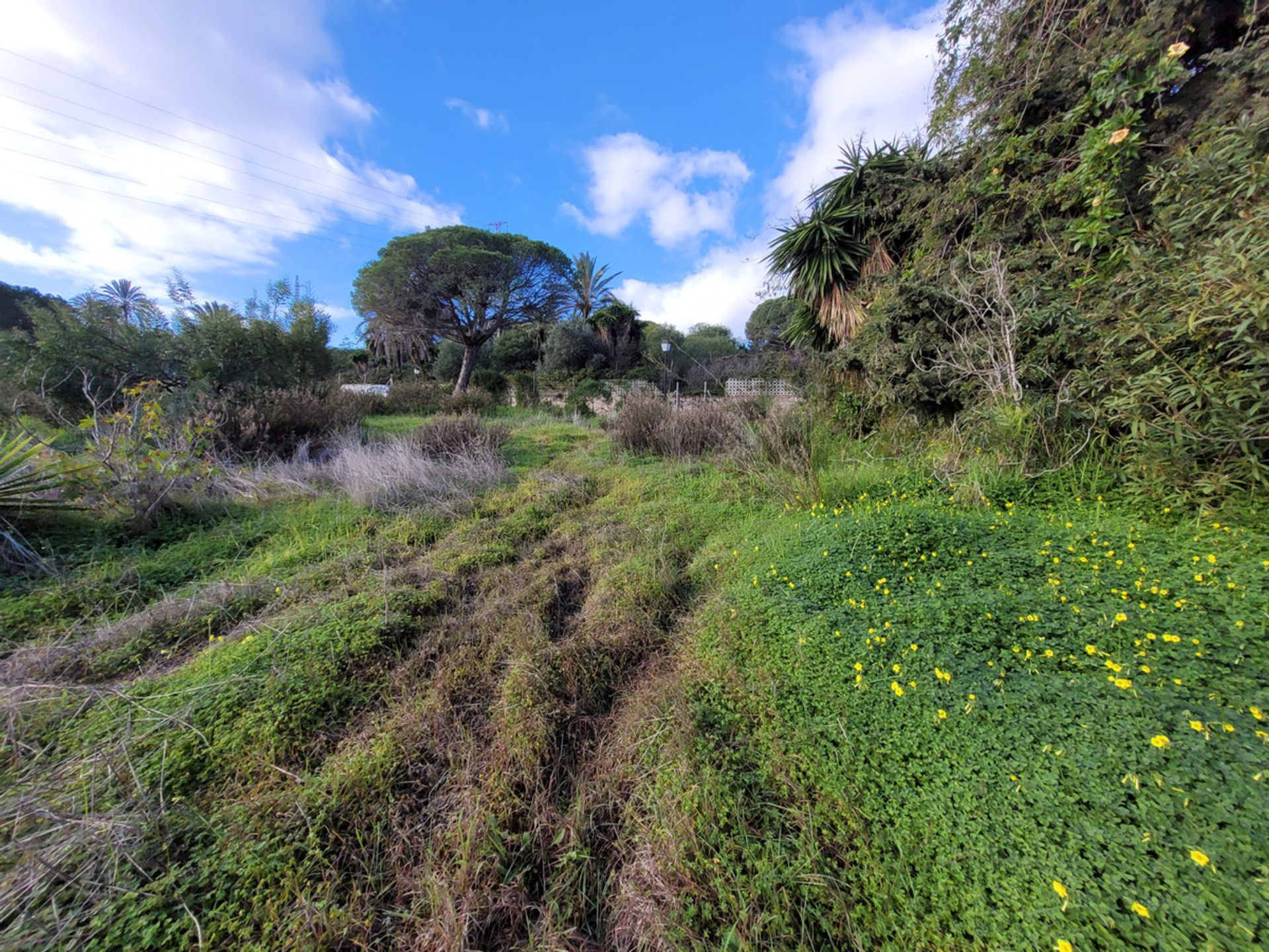 Terra no São Pedro de Alcântara, Andaluzia 10712763