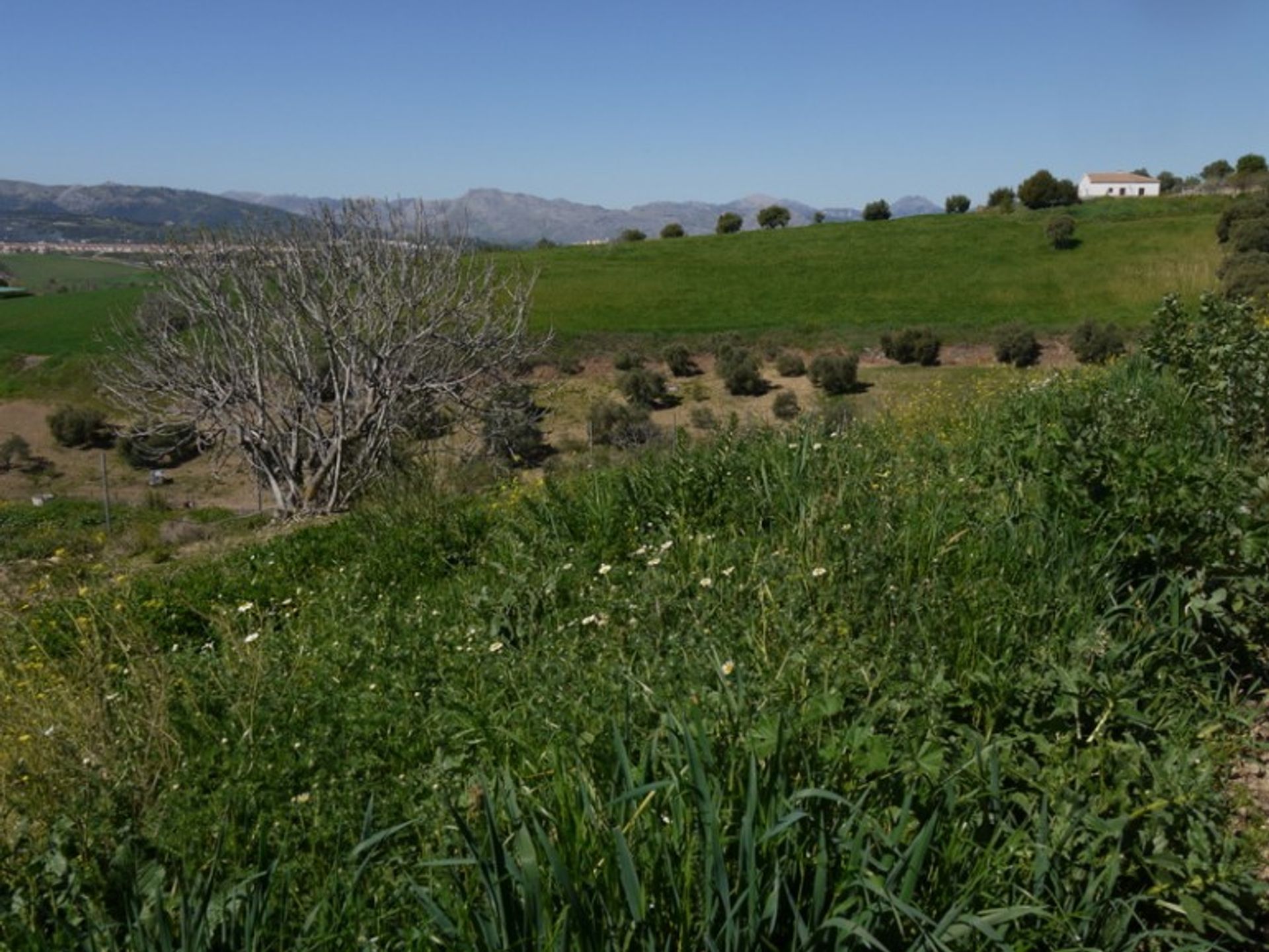 rumah dalam Ronda, Andalucía 10712994