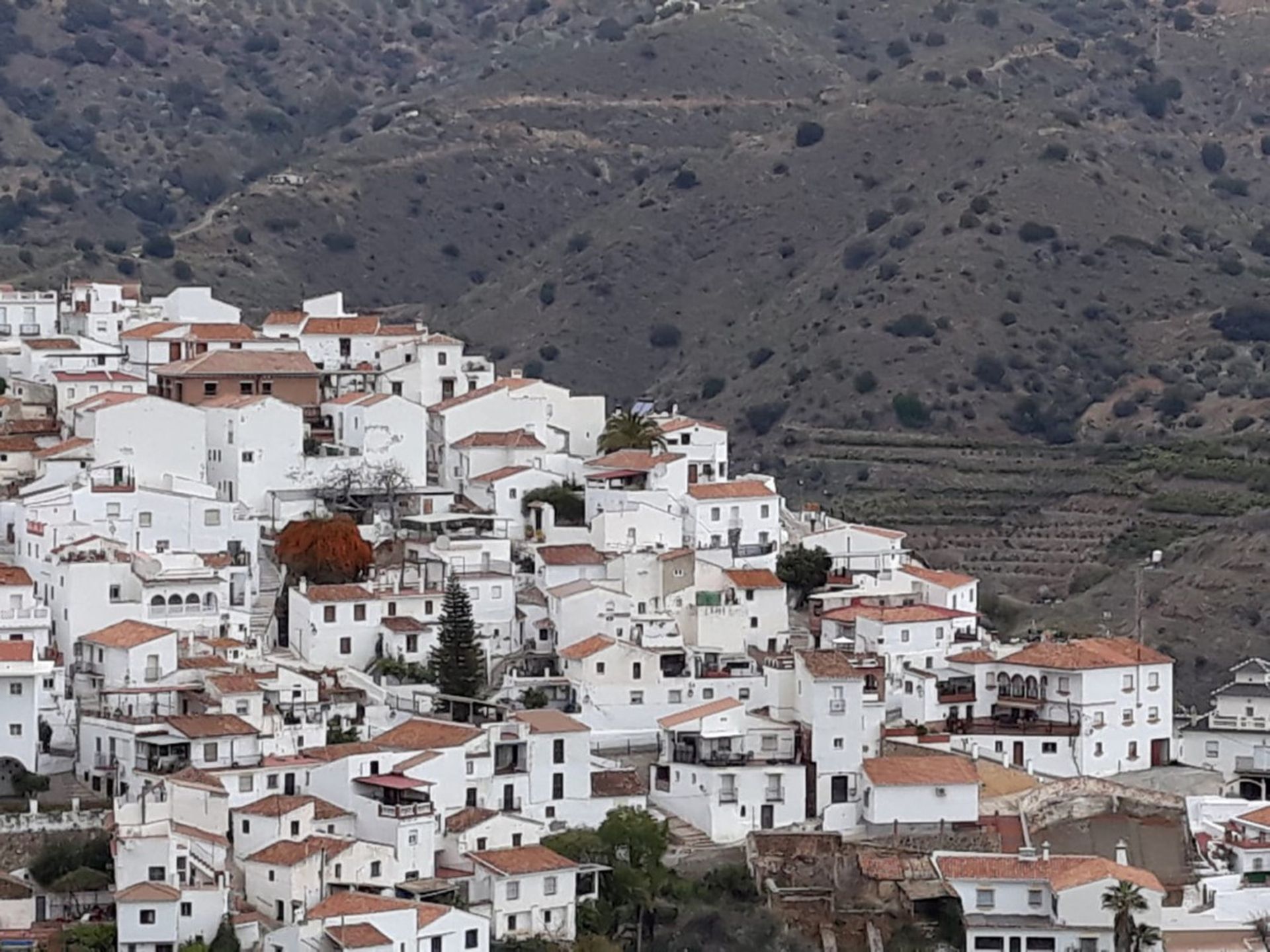 Haus im Cútar, Andalucía 10713143