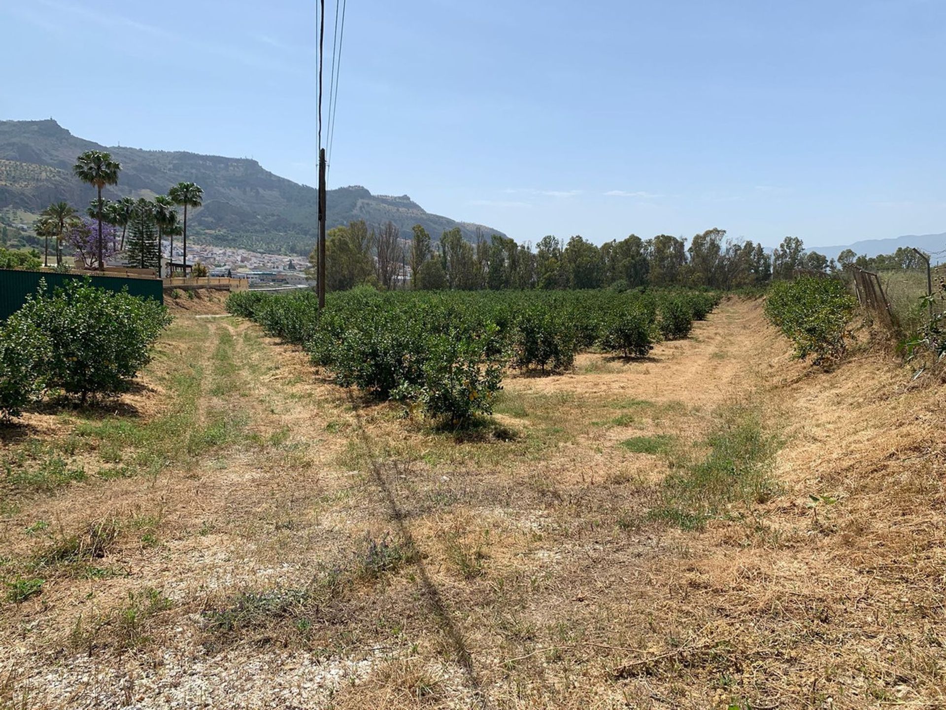 Land in Pizarra, Andalucía 10713192