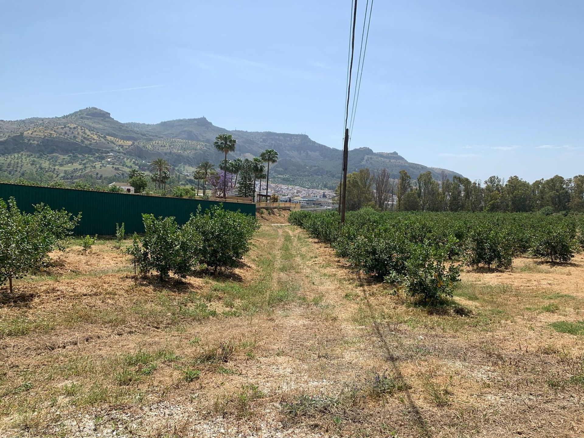 Land in Pizarra, Andalucía 10713192