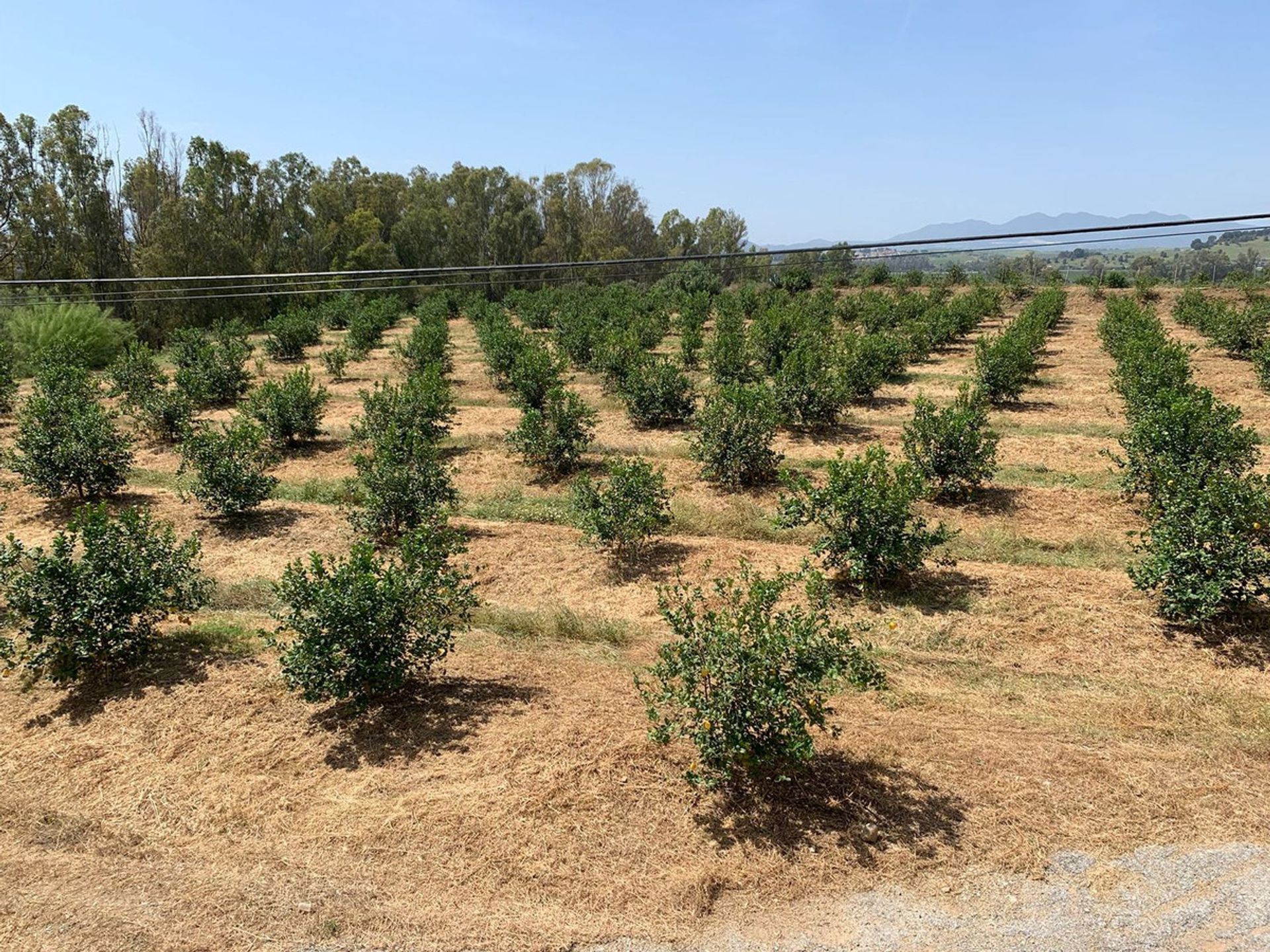 Sbarcare nel Pizarra, Andalucía 10713192