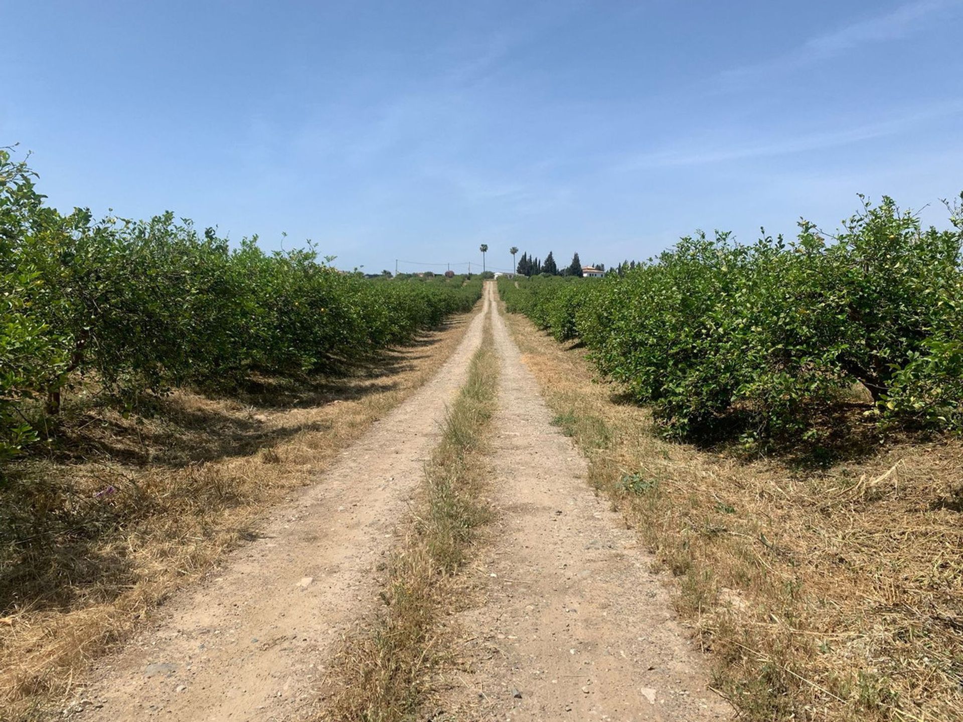 Sbarcare nel Pizarra, Andalucía 10713192