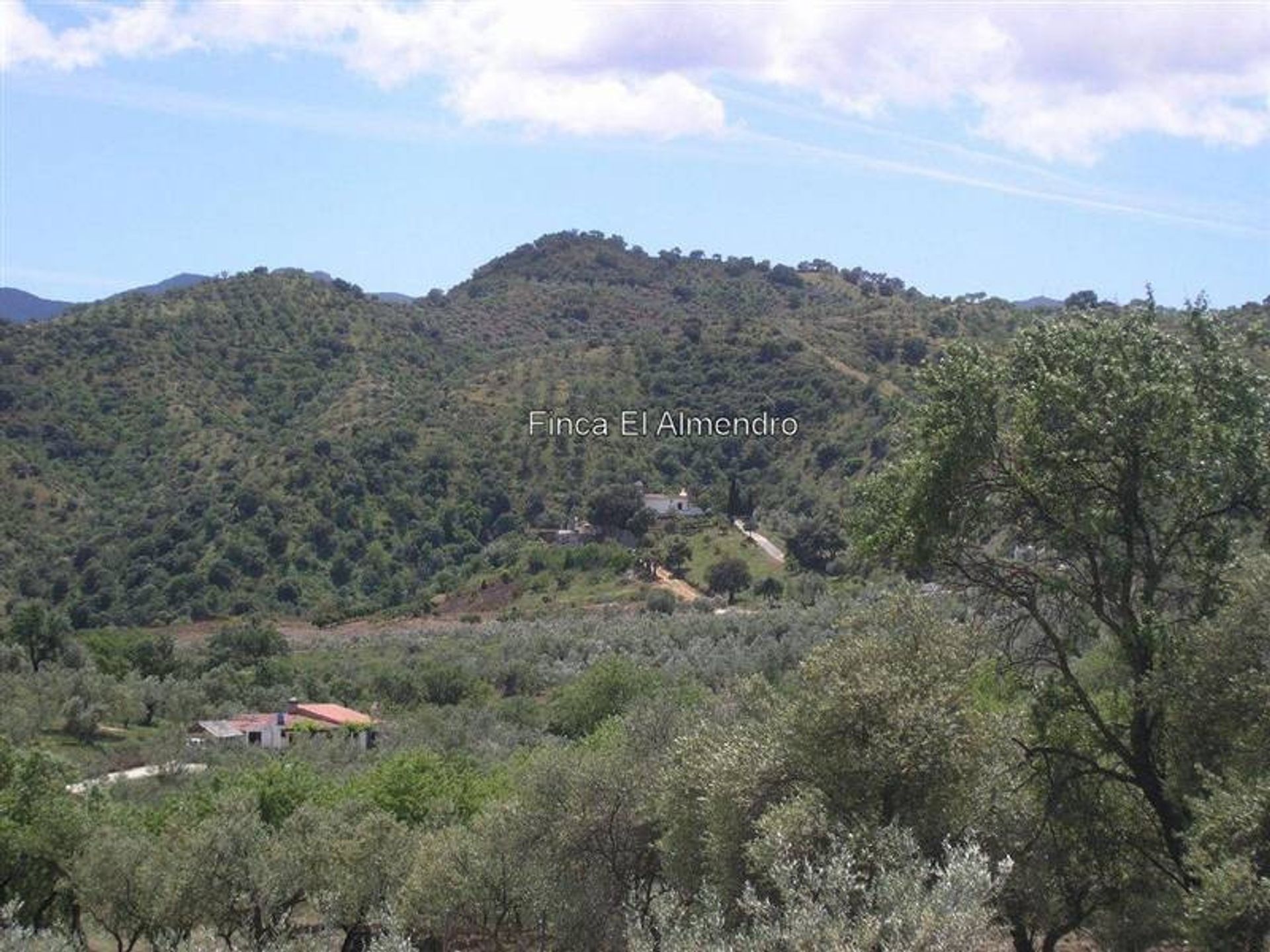 Casa nel Coín, Andalucía 10713289