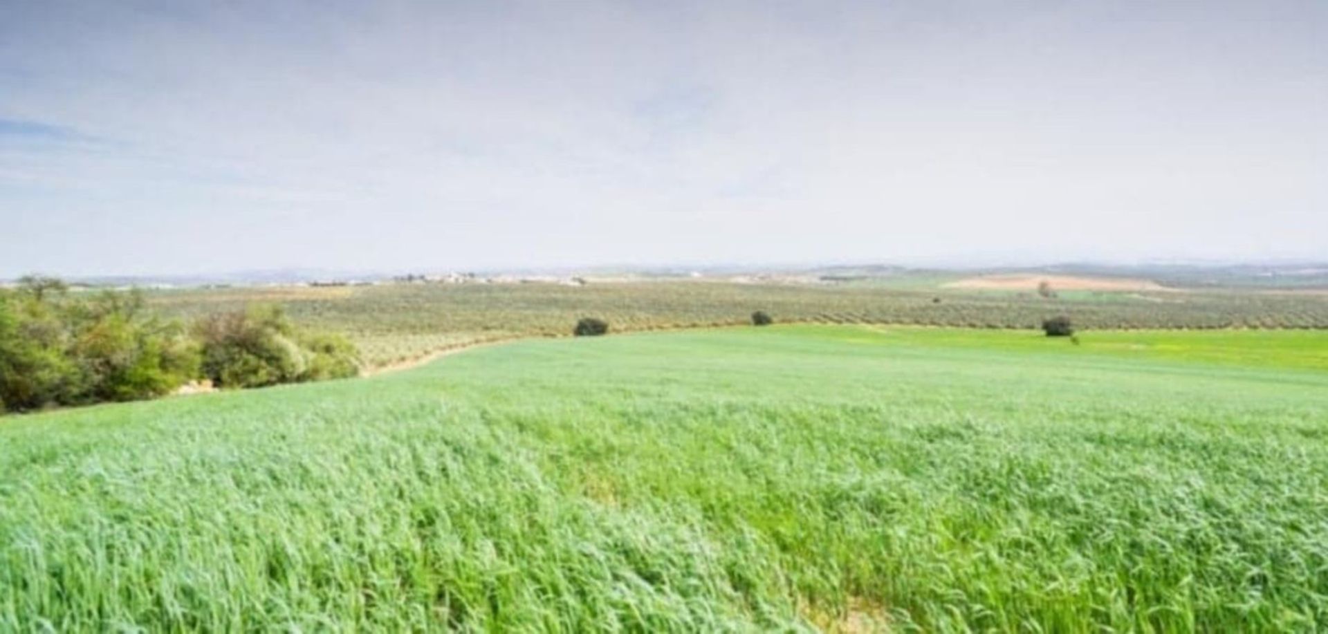 Industrieel in Antequera, Andalucía 10713459