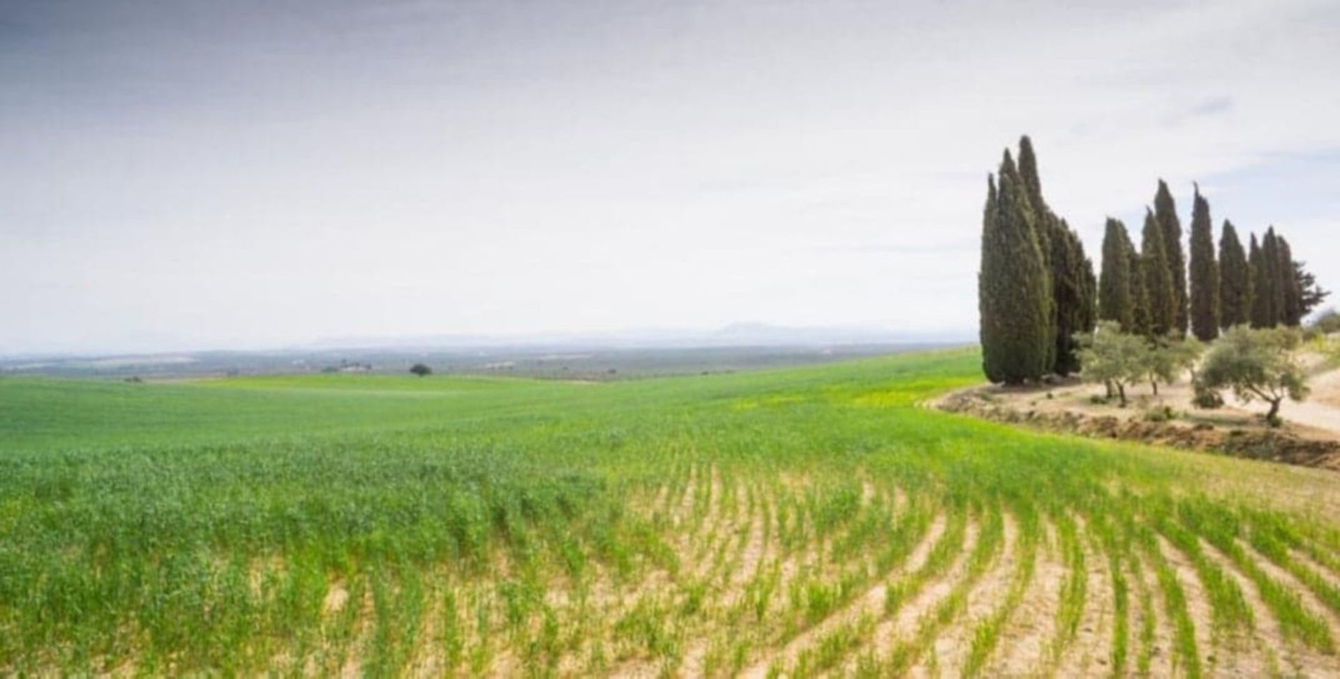 Βιομηχανικός σε Antequera, Andalucía 10713459