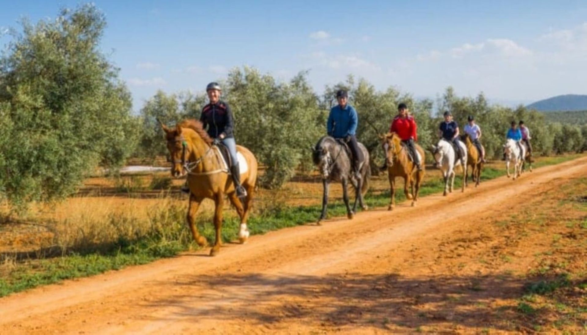 Industri di Antequera, Andalucía 10713459