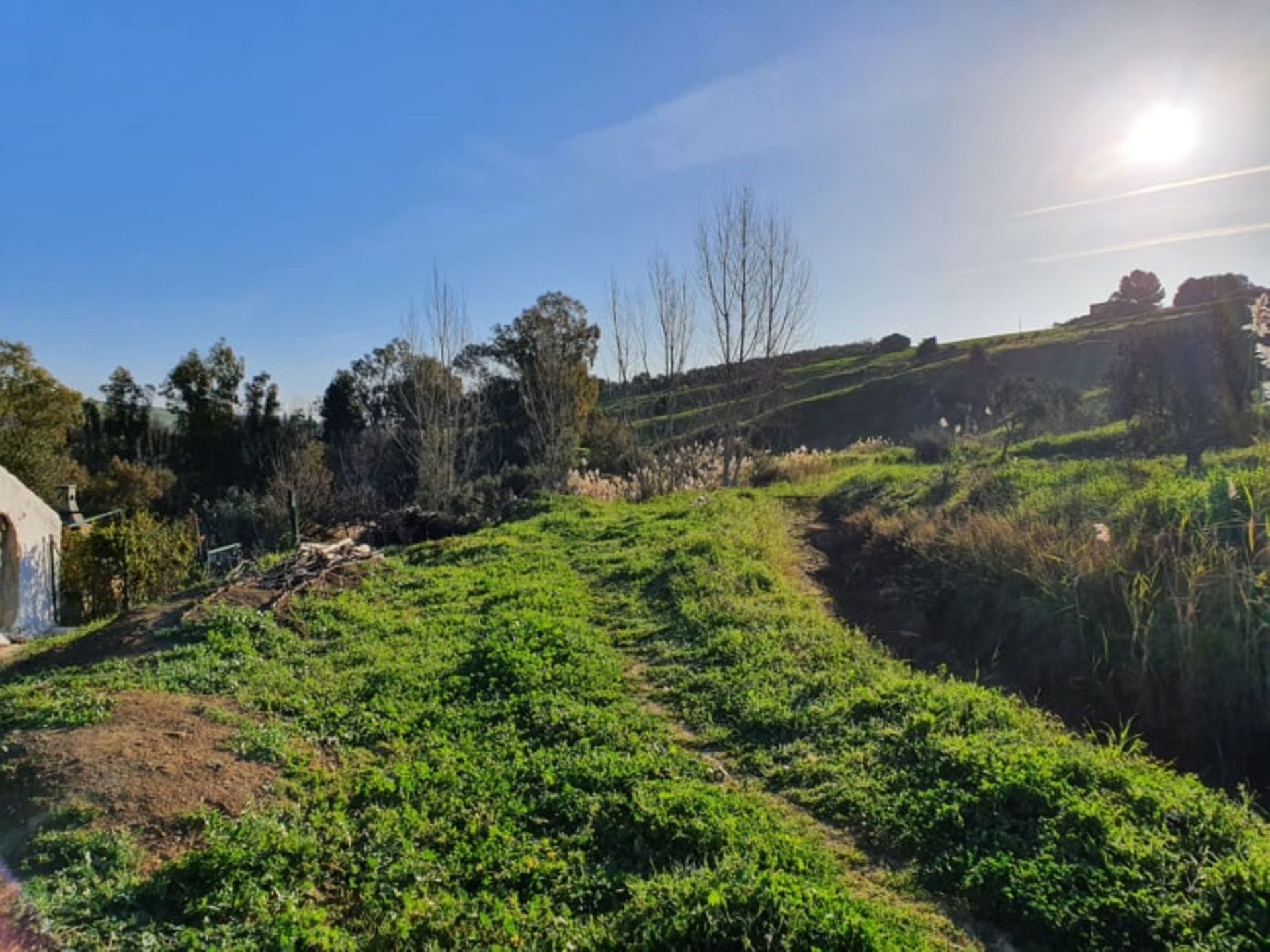 Hus i Coín, Andalucía 10713474