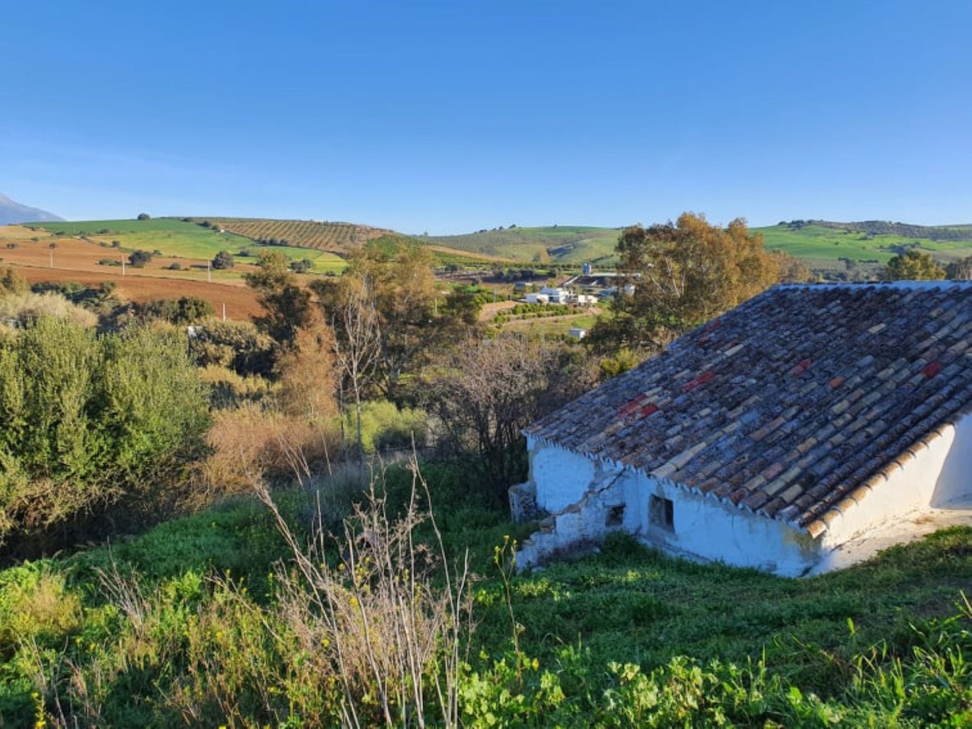 Hus i Coín, Andalucía 10713474