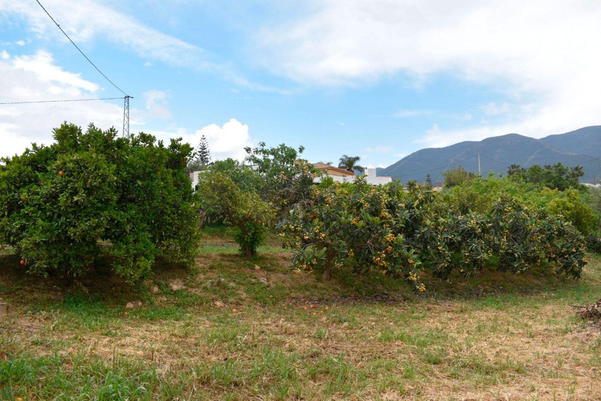 Rumah di Alhaurín el Grande, Andalucía 10713809